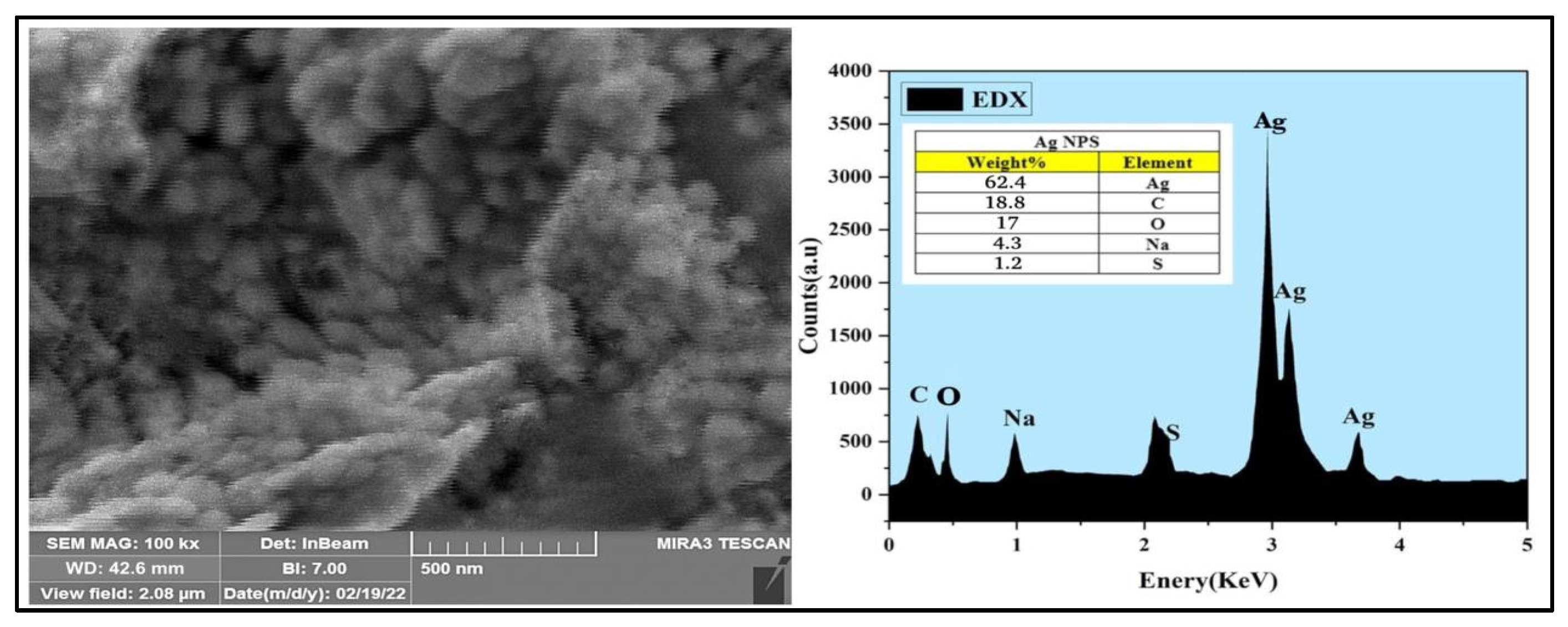 Antibiotics 11 01791 g005 Antibiotics 11 01791 g005