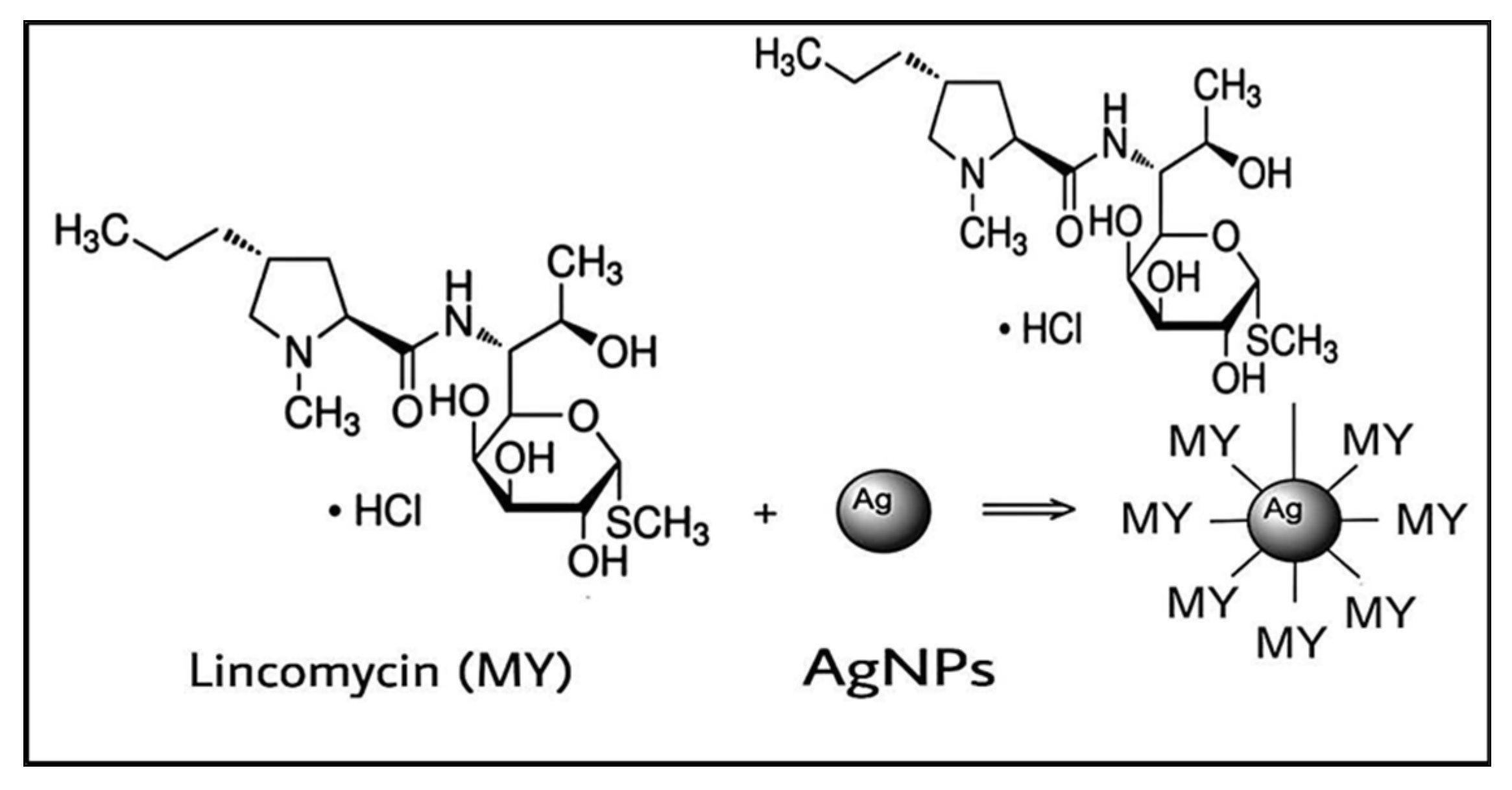 Antibiotics 11 01791 g007 Antibiotics 11 01791 g007