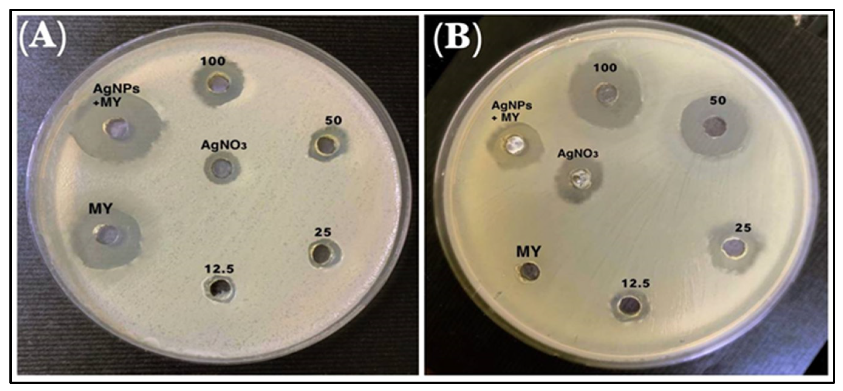 Antibiotics 11 01791 g010 Antibiotics 11 01791 g010