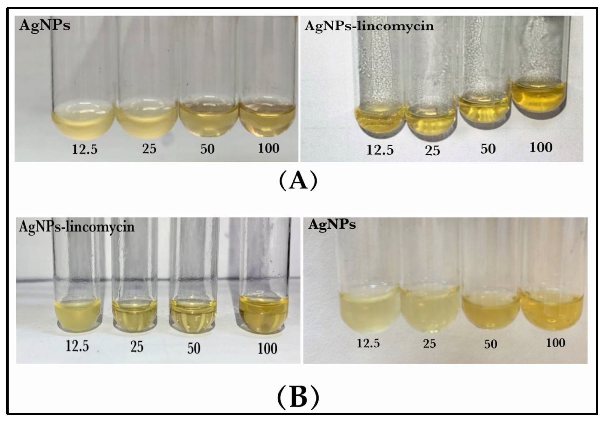 Antibiotics 11 01791 g012 Antibiotics 11 01791 g012