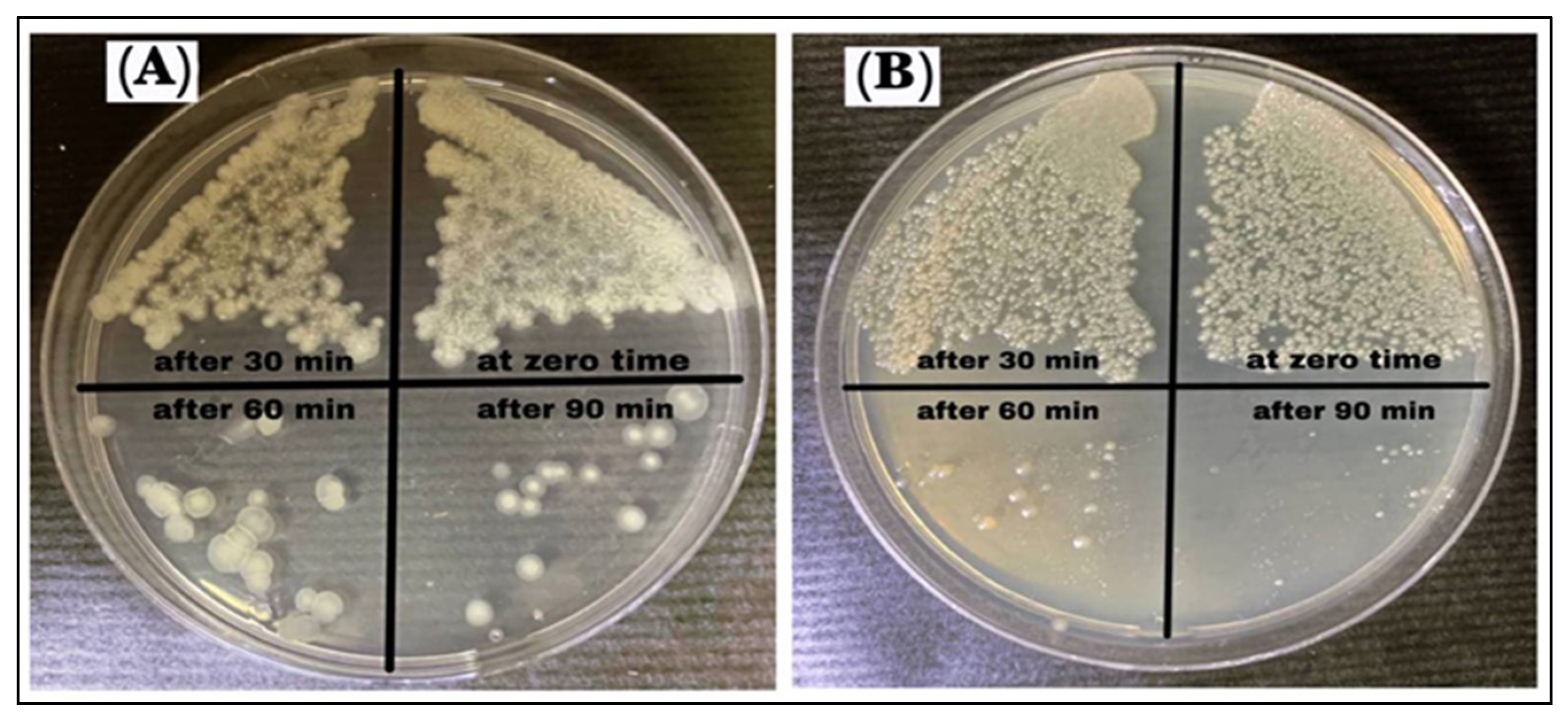 Antibiotics 11 01791 g013 Antibiotics 11 01791 g013