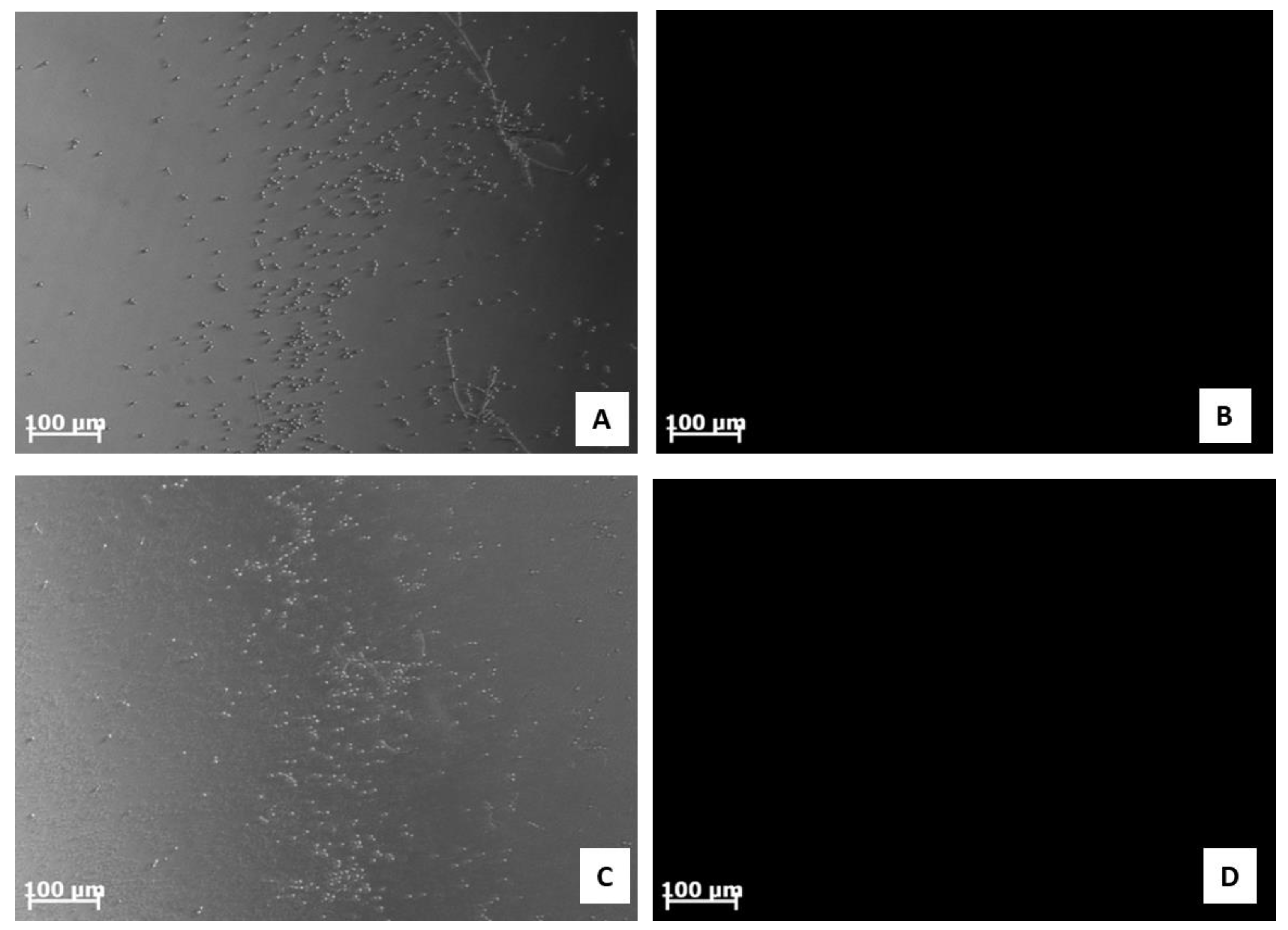 Antibiotics 11 01792 g004 Antibiotics 11 01792 g004