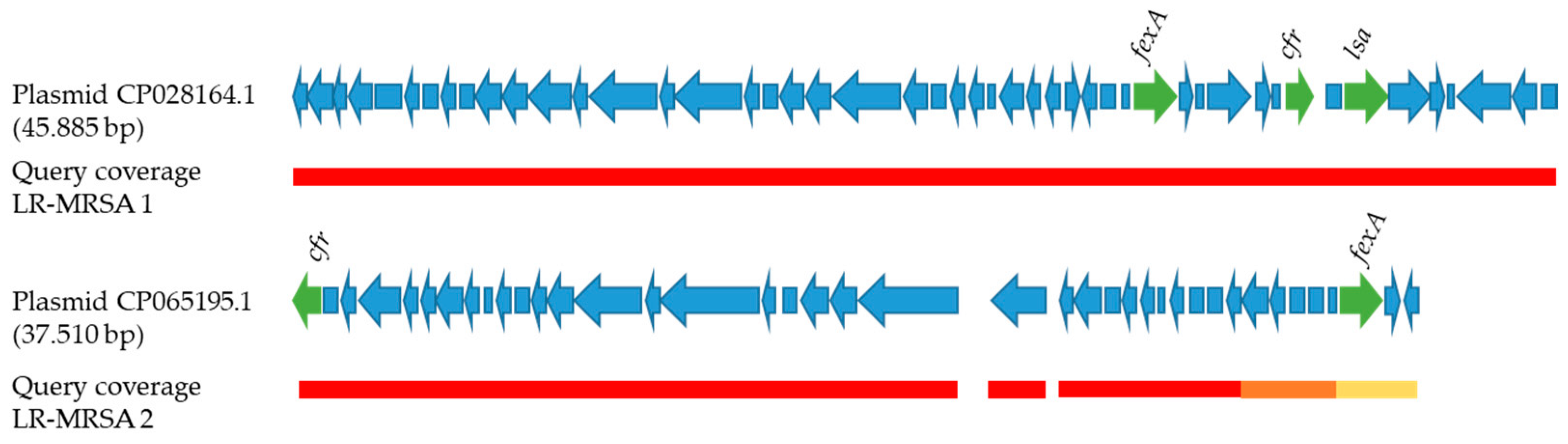 Antibiotics 11 01802 g002 Antibiotics 11 01802 g002