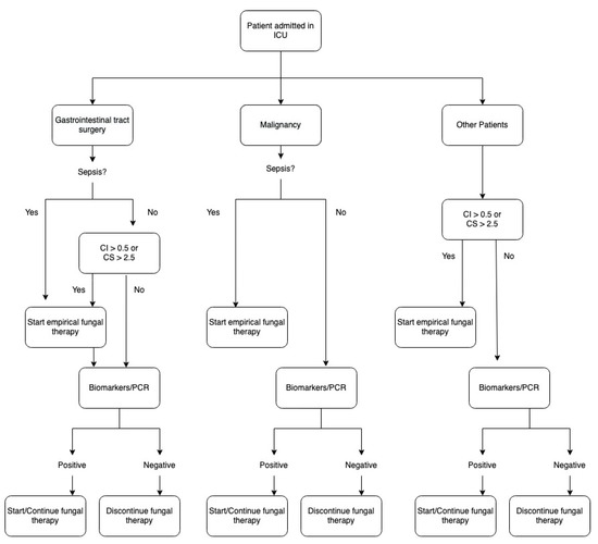 Antibiotics Free FullText How to Identify Invasive Candidemia in