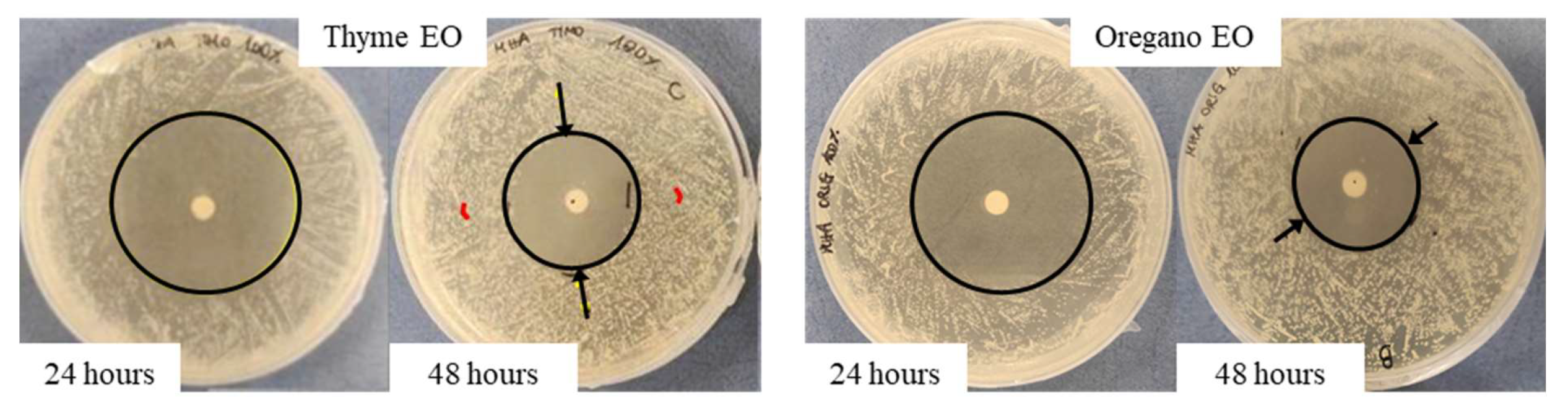 Antibiotics 11 01809 g002 Antibiotics 11 01809 g002