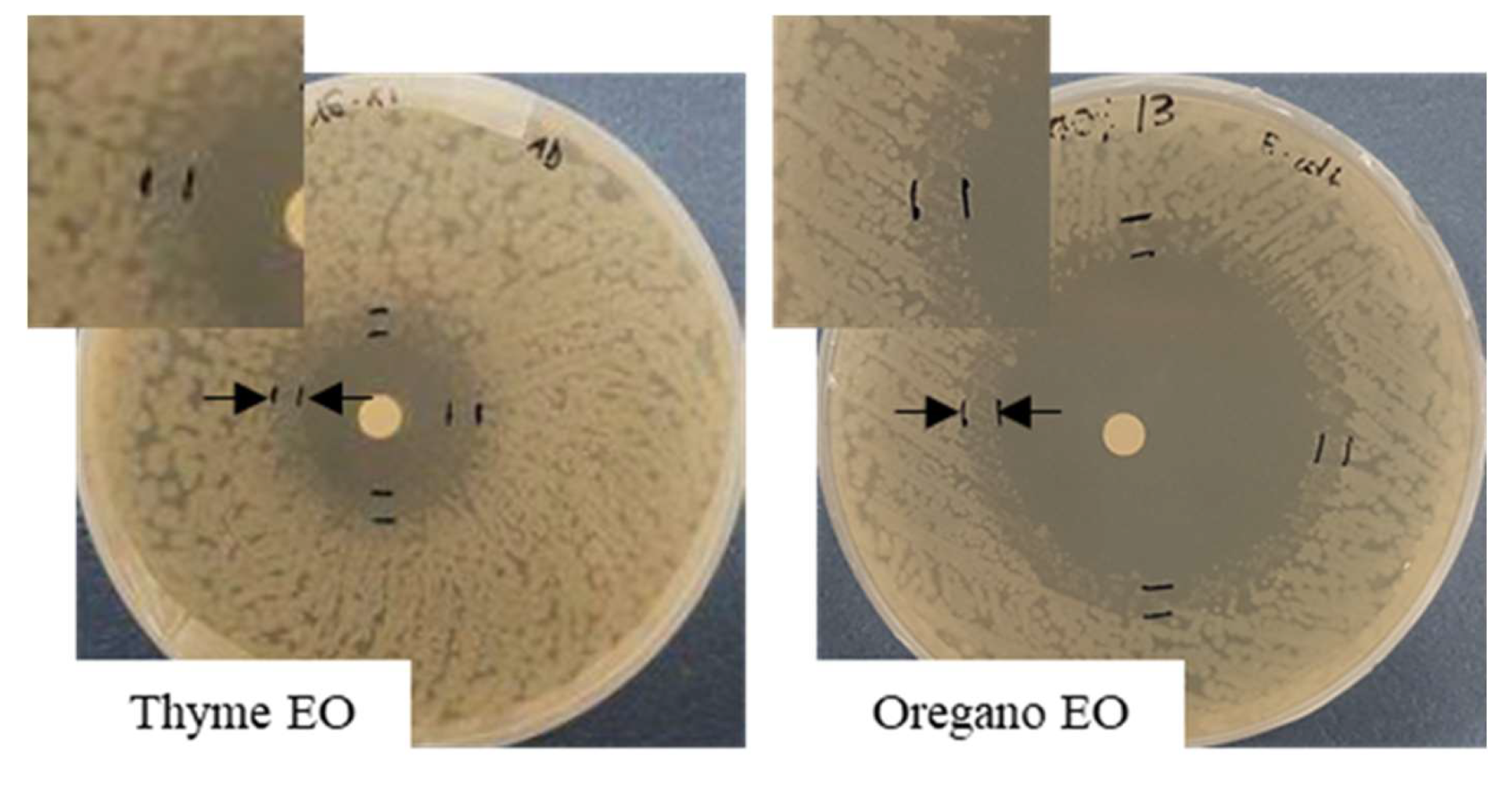 Antibiotics 11 01809 g003 Antibiotics 11 01809 g003