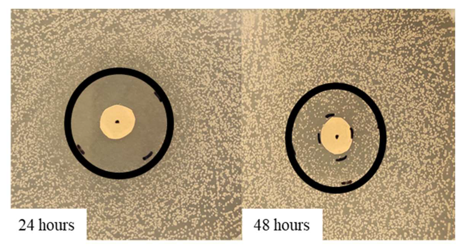 Antibiotics 11 01809 g006 Antibiotics 11 01809 g006