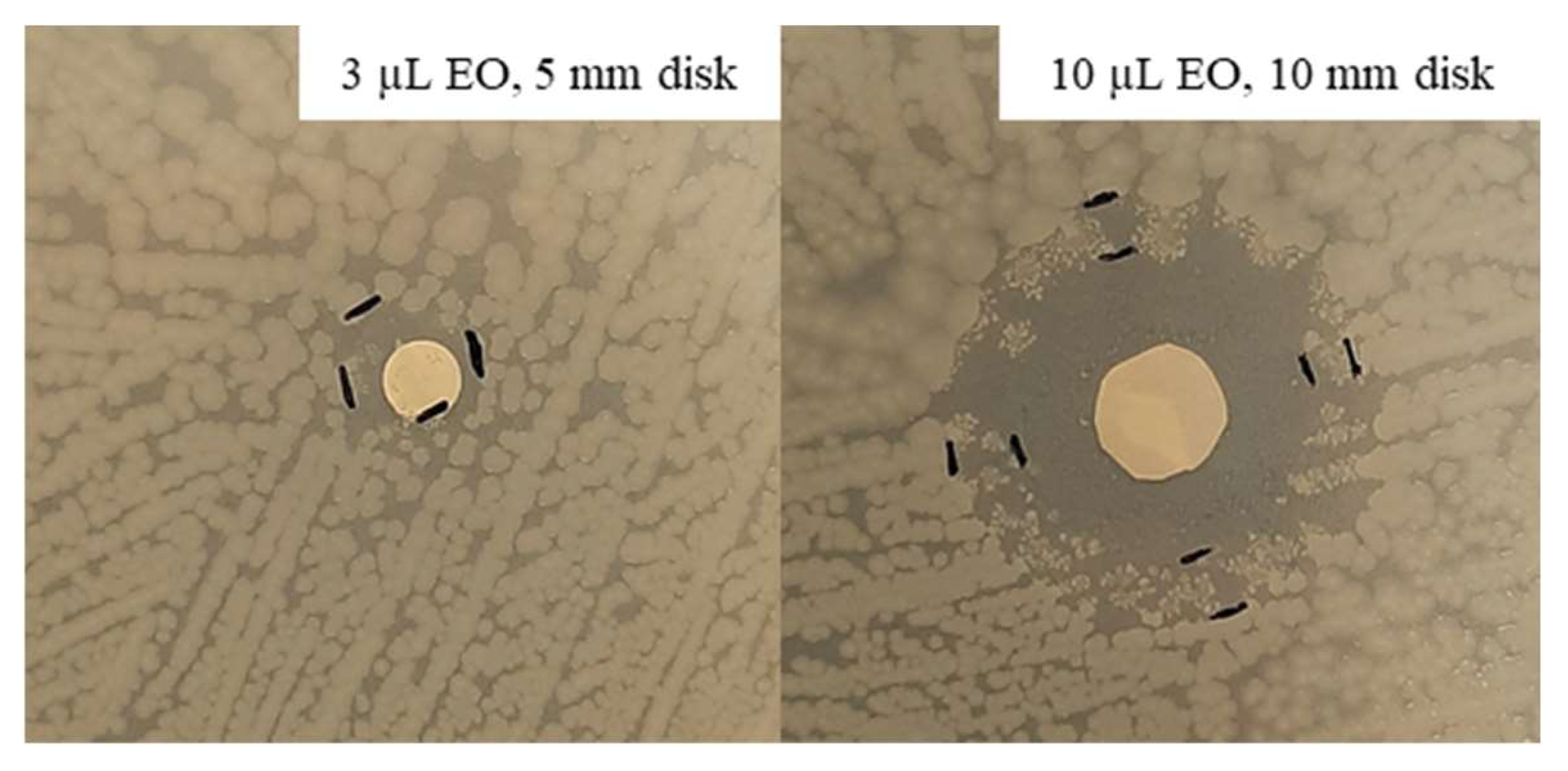 Antibiotics 11 01809 g008 Antibiotics 11 01809 g008