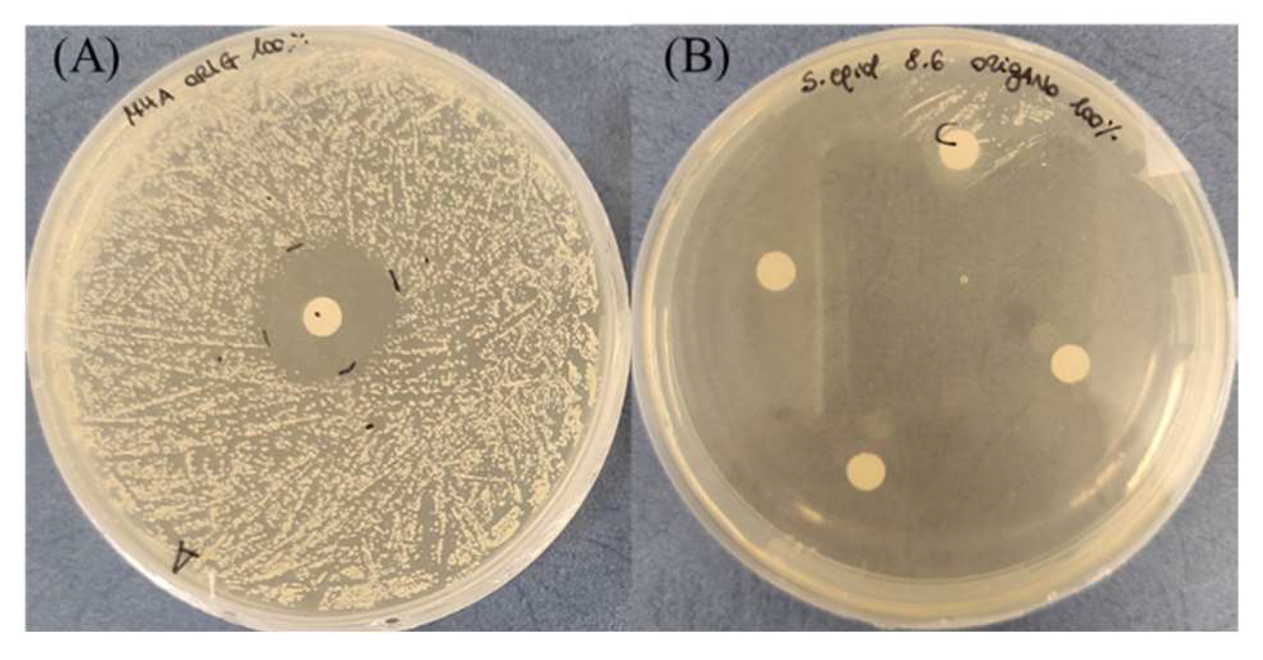 Antibiotics 11 01809 g009 Antibiotics 11 01809 g009