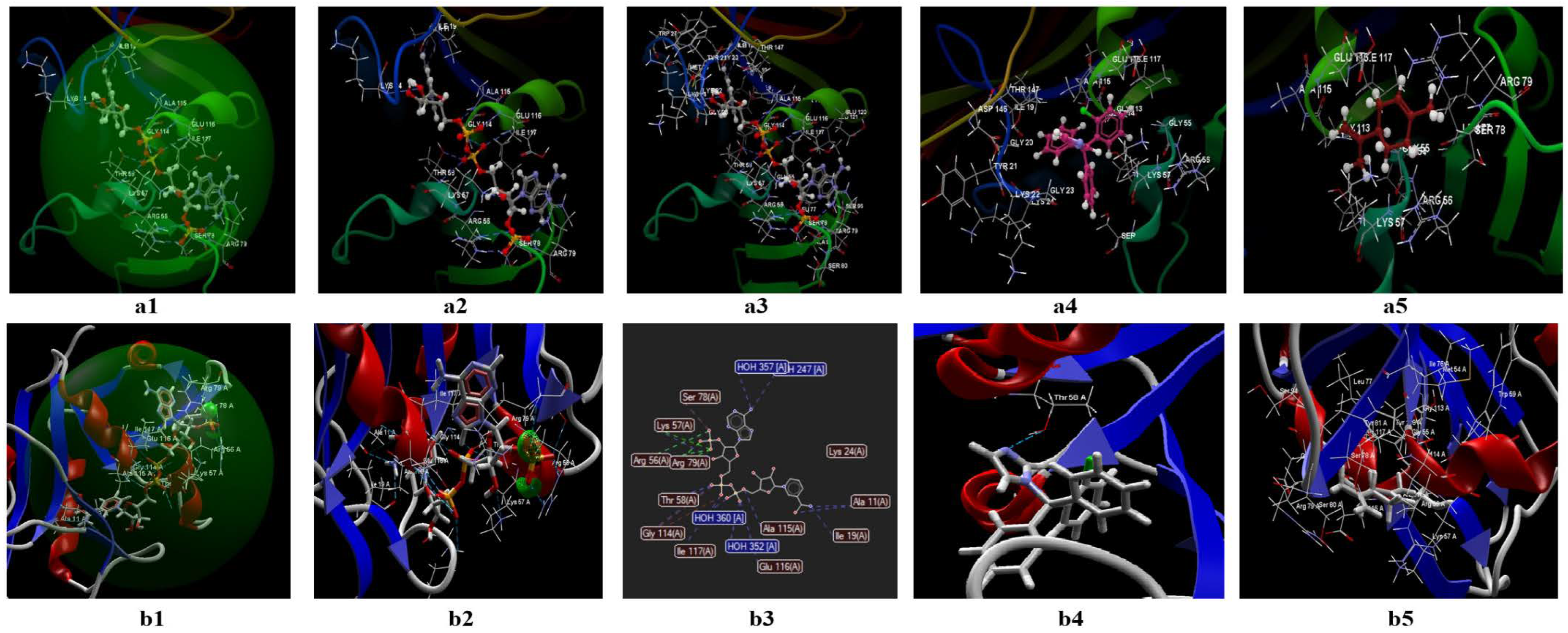 Antibiotics 11 01816 g008
