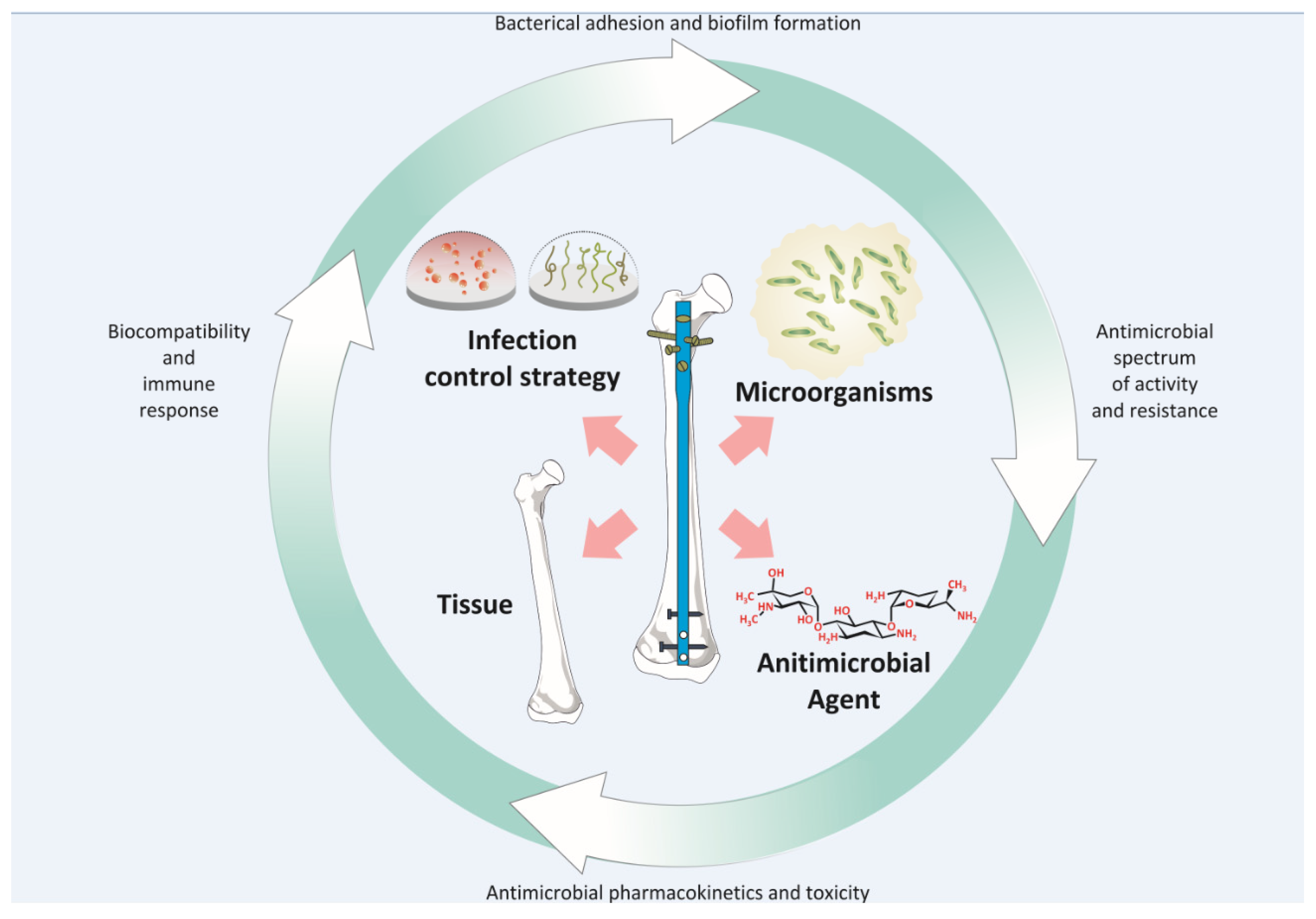 Antibiotics 11 01822 g003 Antibiotics 11 01822 g003