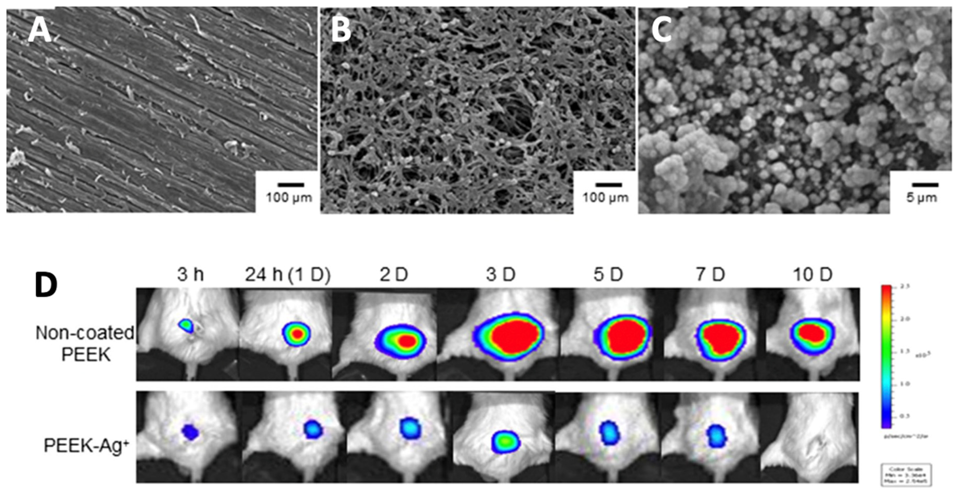 Antibiotics 11 01822 g004 Antibiotics 11 01822 g004