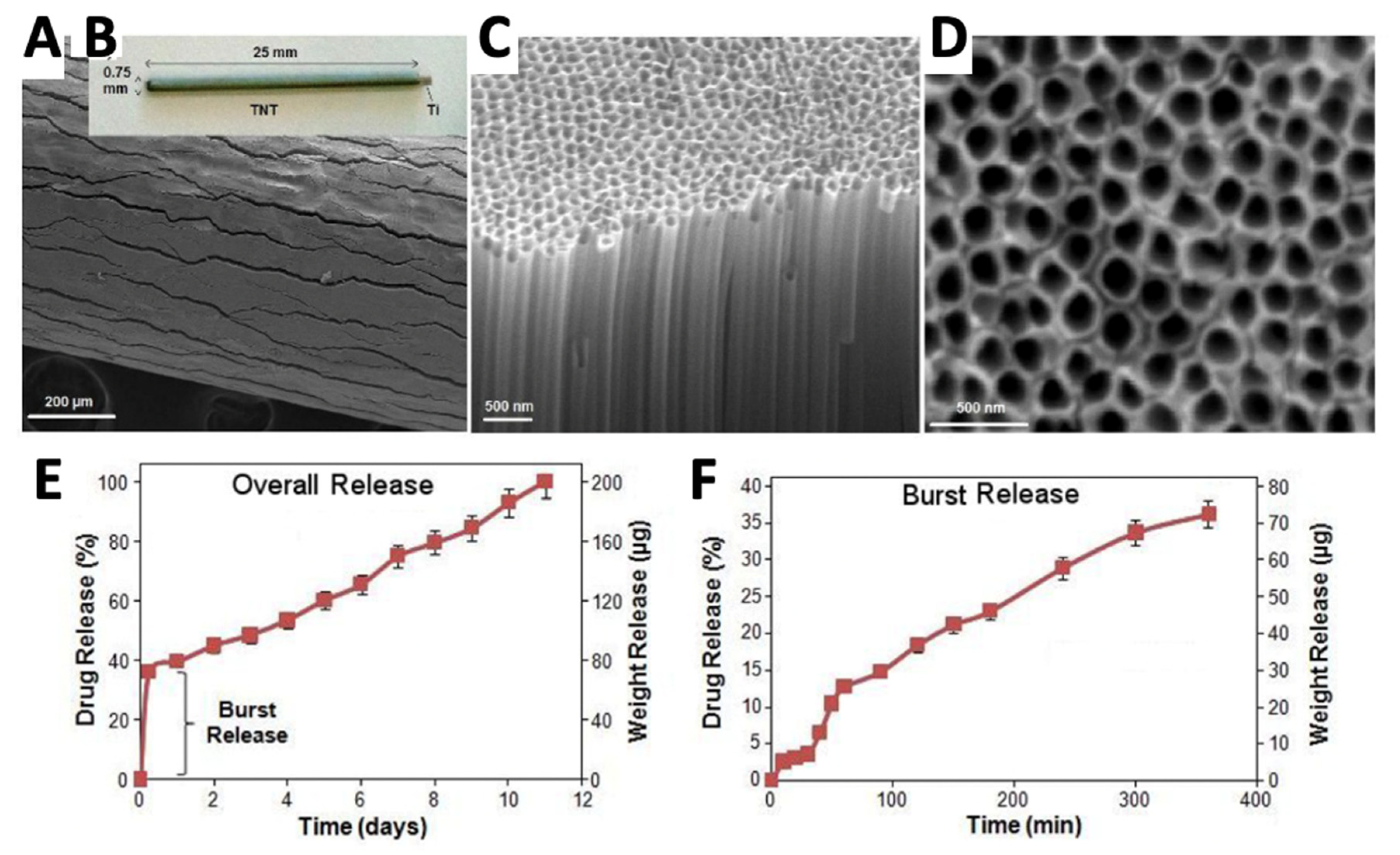 Antibiotics 11 01822 g005 Antibiotics 11 01822 g005