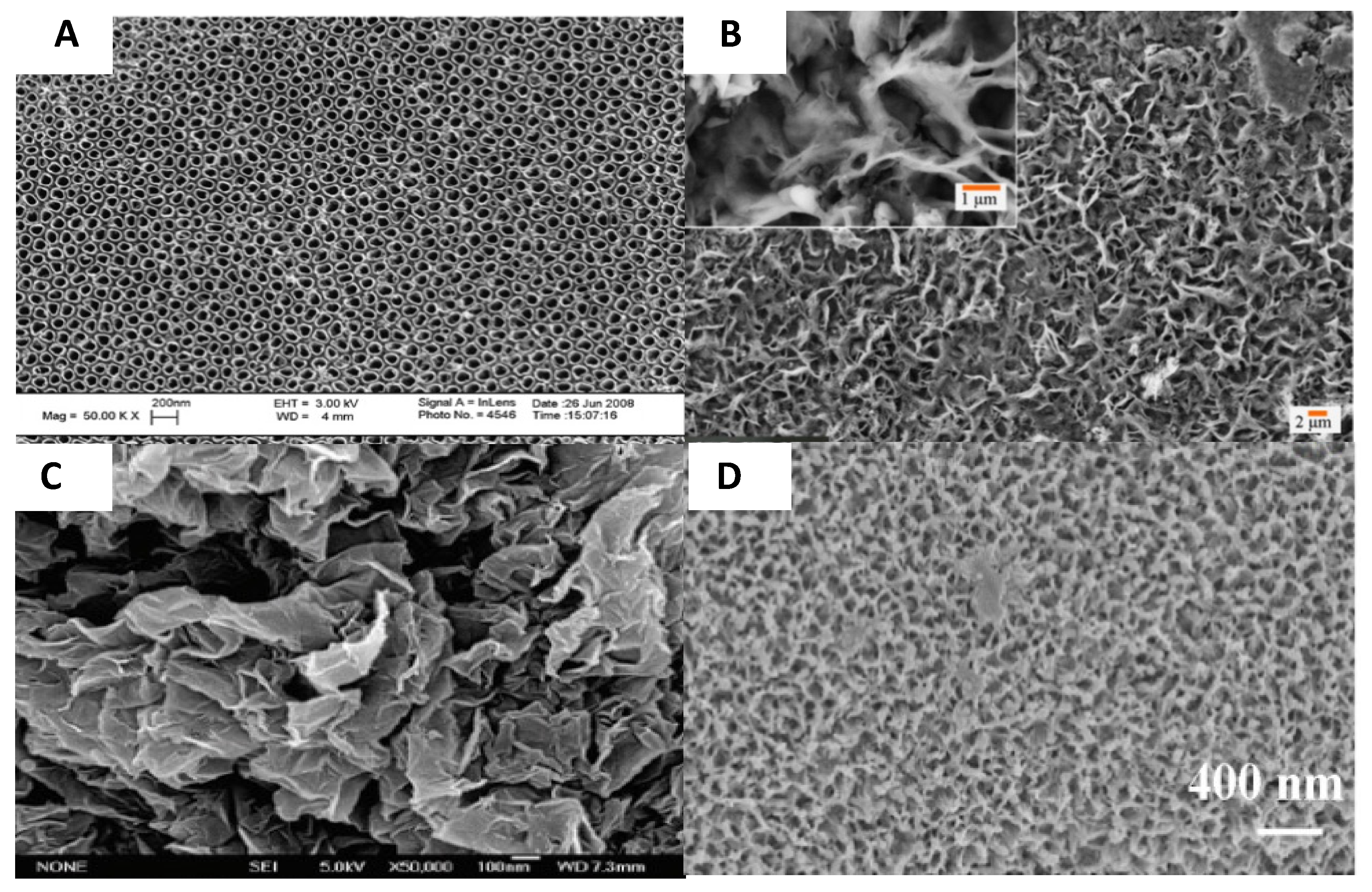 Antibiotics 11 01822 g006 Antibiotics 11 01822 g006