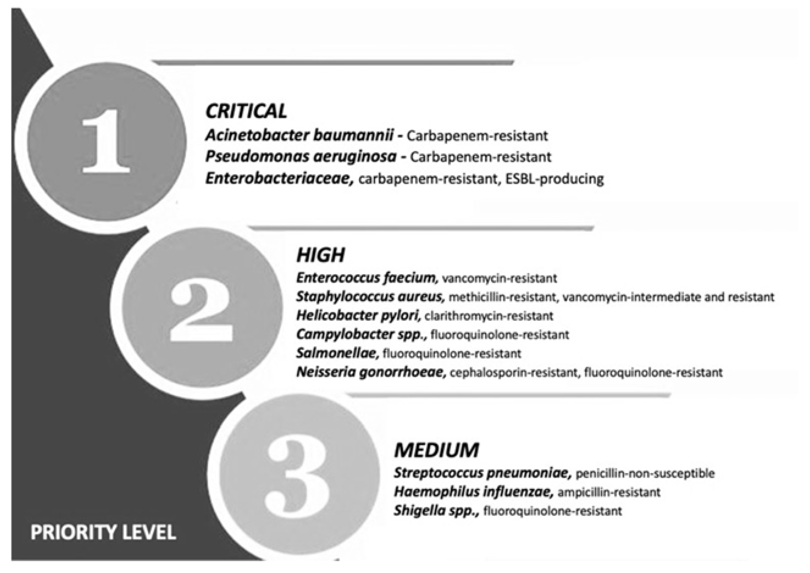 JMBM - Translation Services