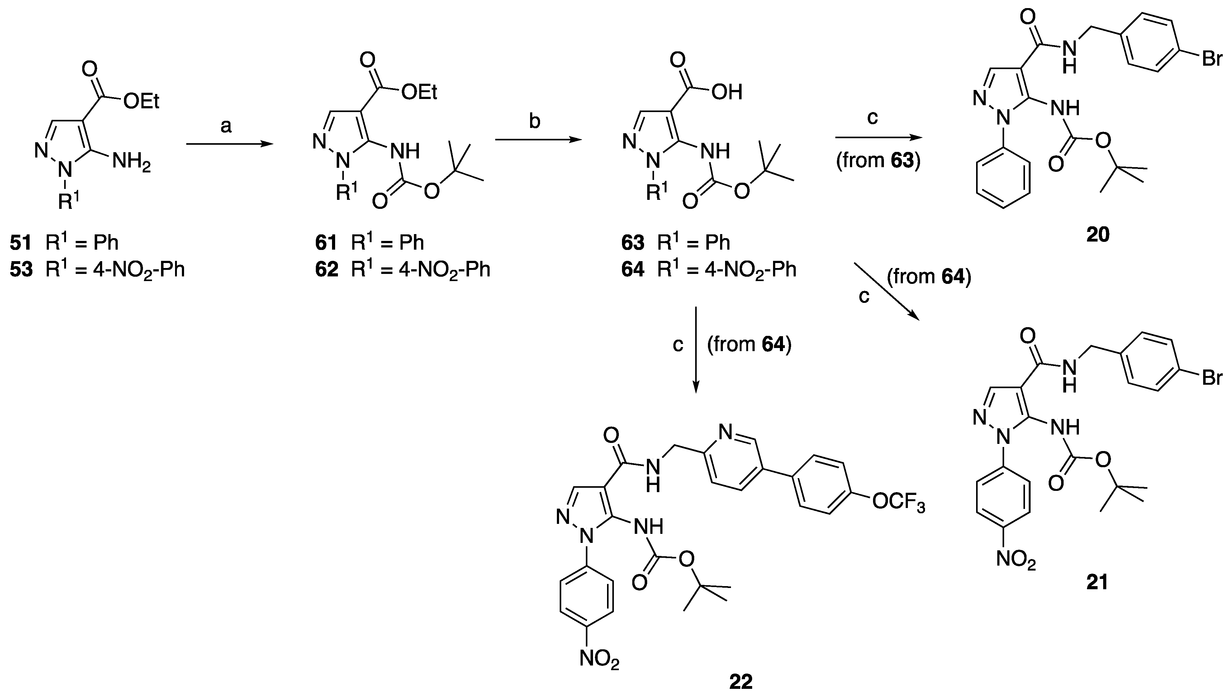 Antibiotics 11 01832 sch003 Antibiotics 11 01832 sch003