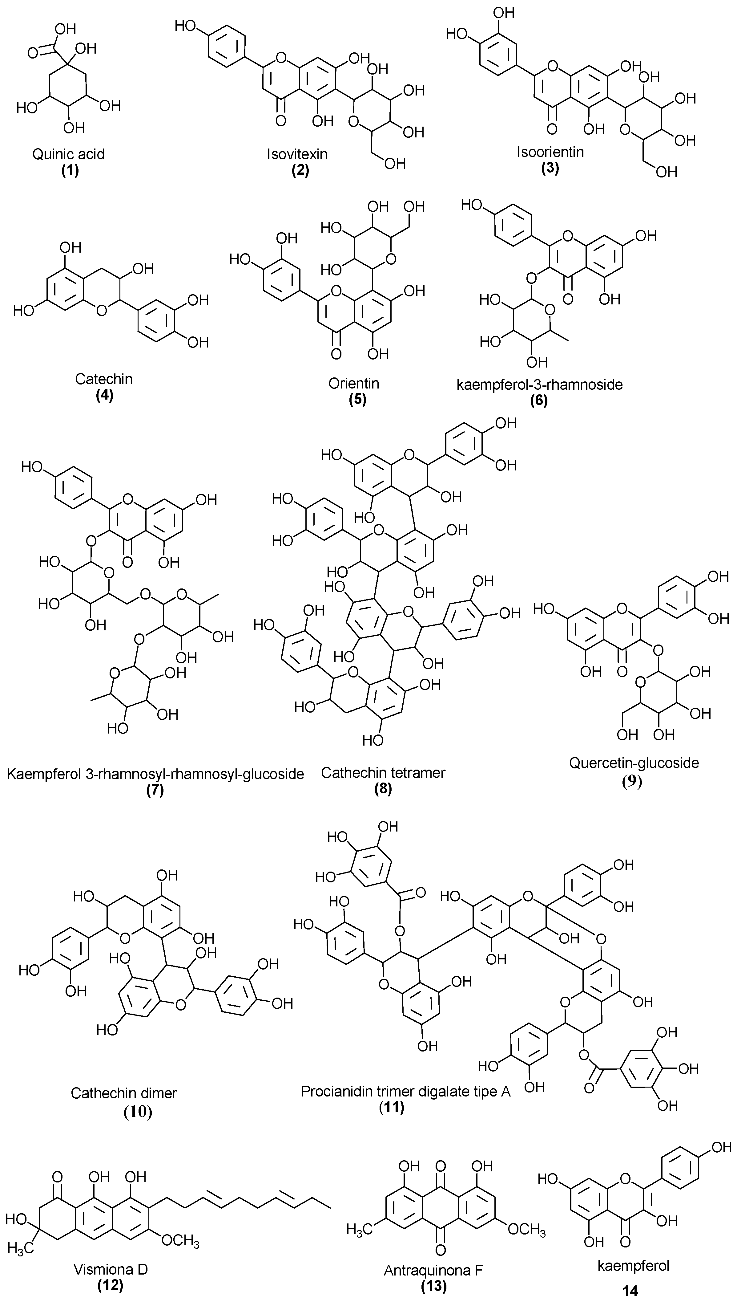 Antibiotics 11 01834 g004