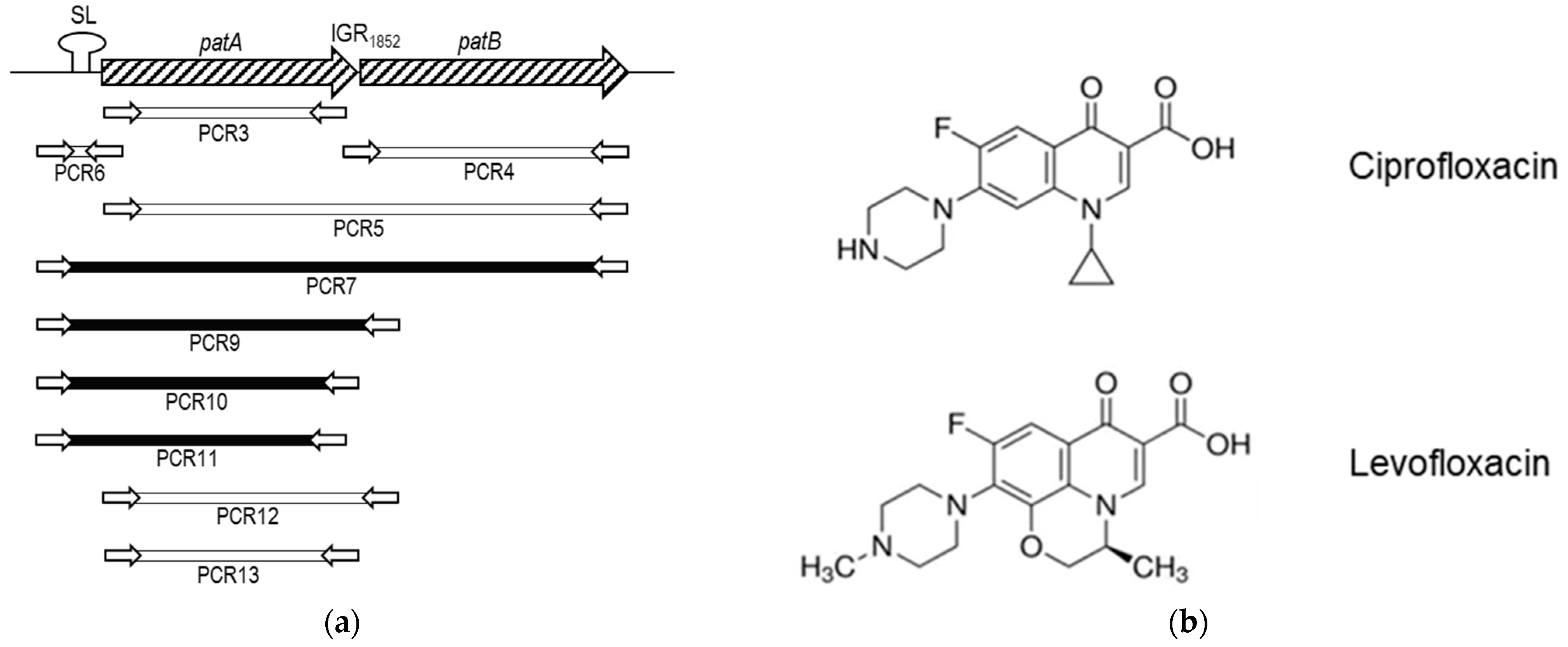 Antibiotics 11 01837 g004a
