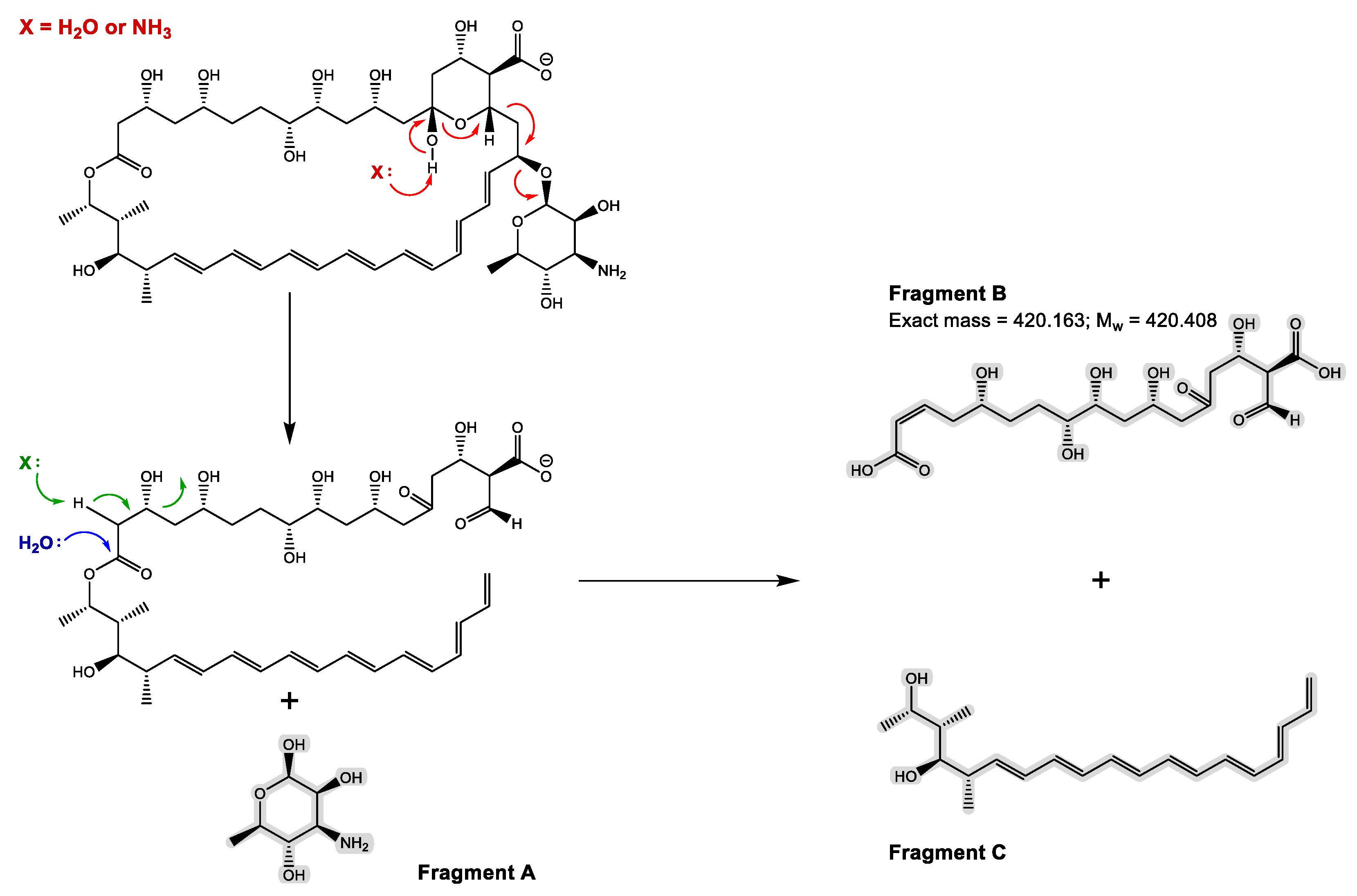 Antibiotics 11 01841 g002