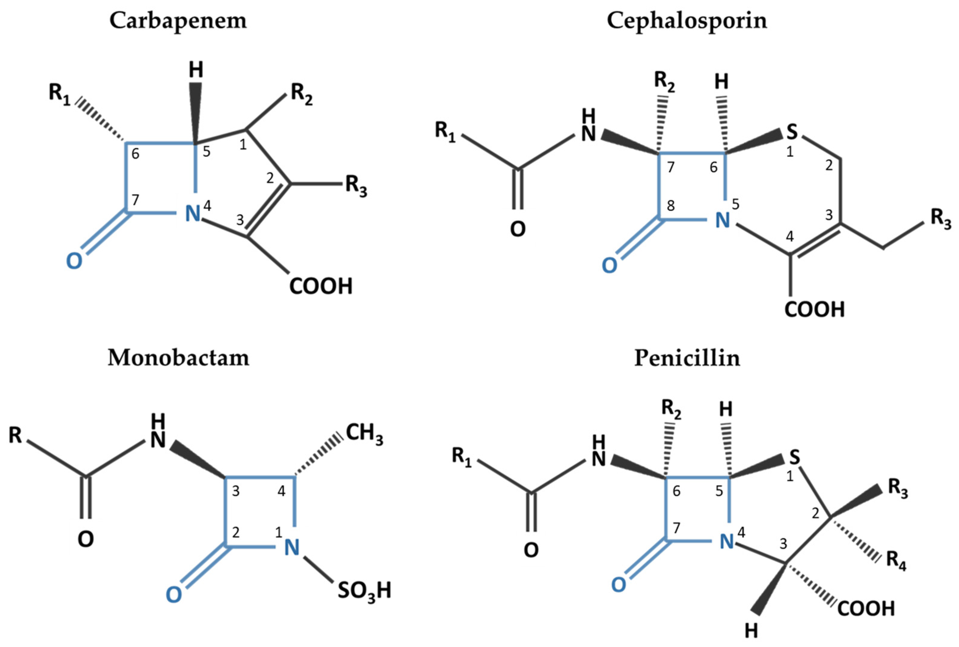 Antibiotics 11 01843 g001 Antibiotics 11 01843 g001
