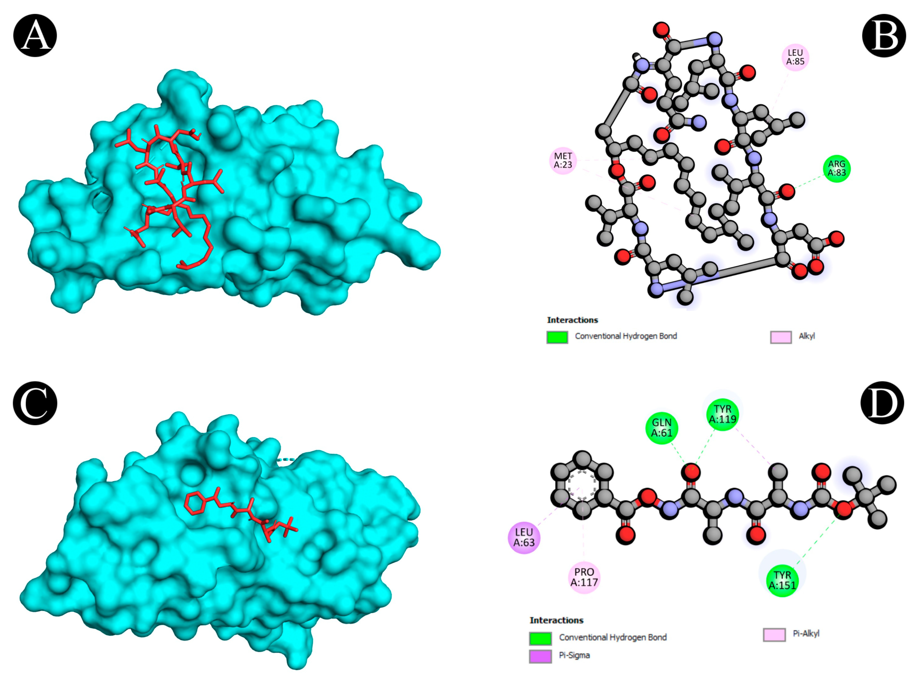 Antibiotics 12 00005 g011 Antibiotics 12 00005 g011