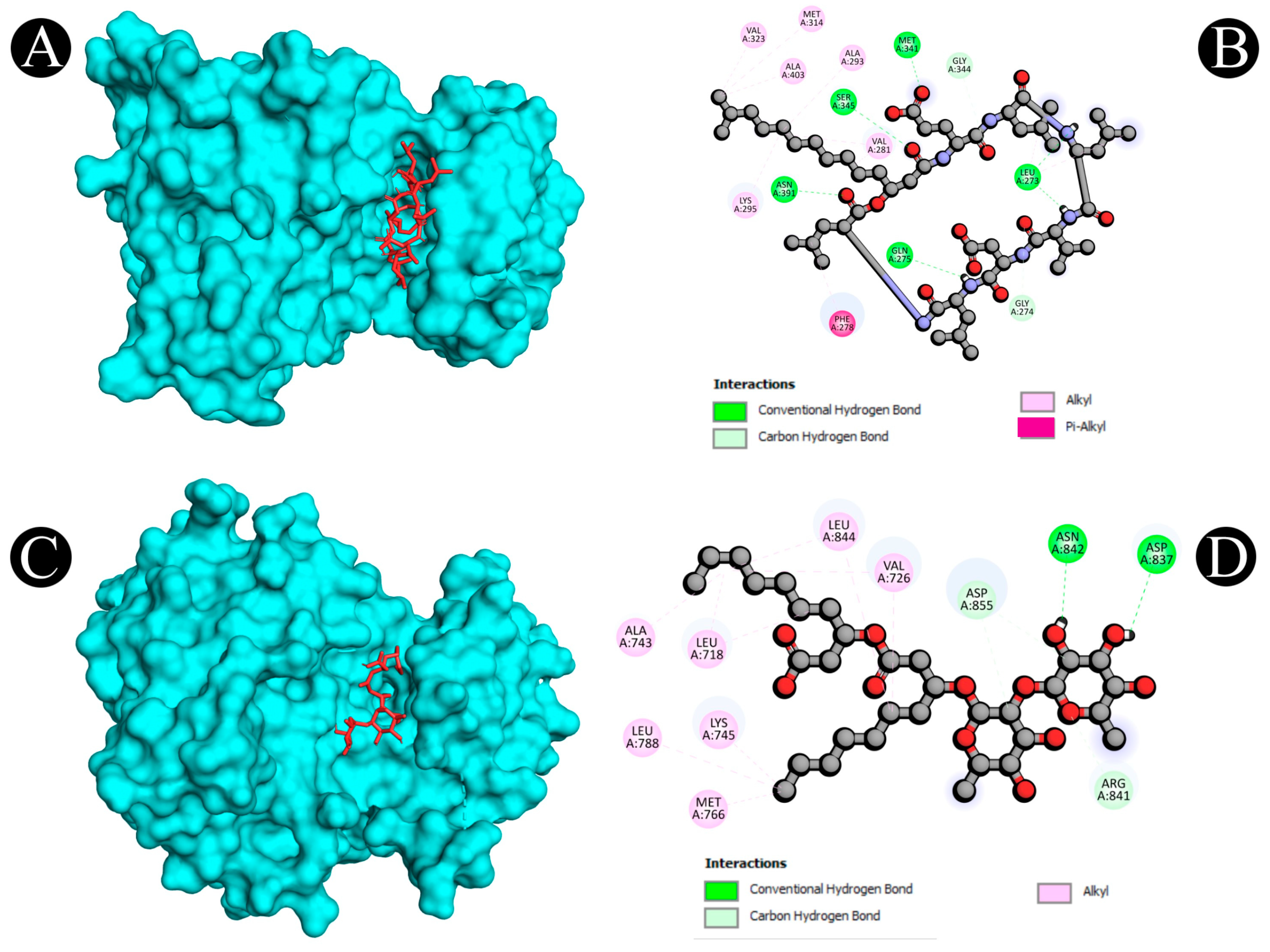 Antibiotics 12 00005 g013 Antibiotics 12 00005 g013