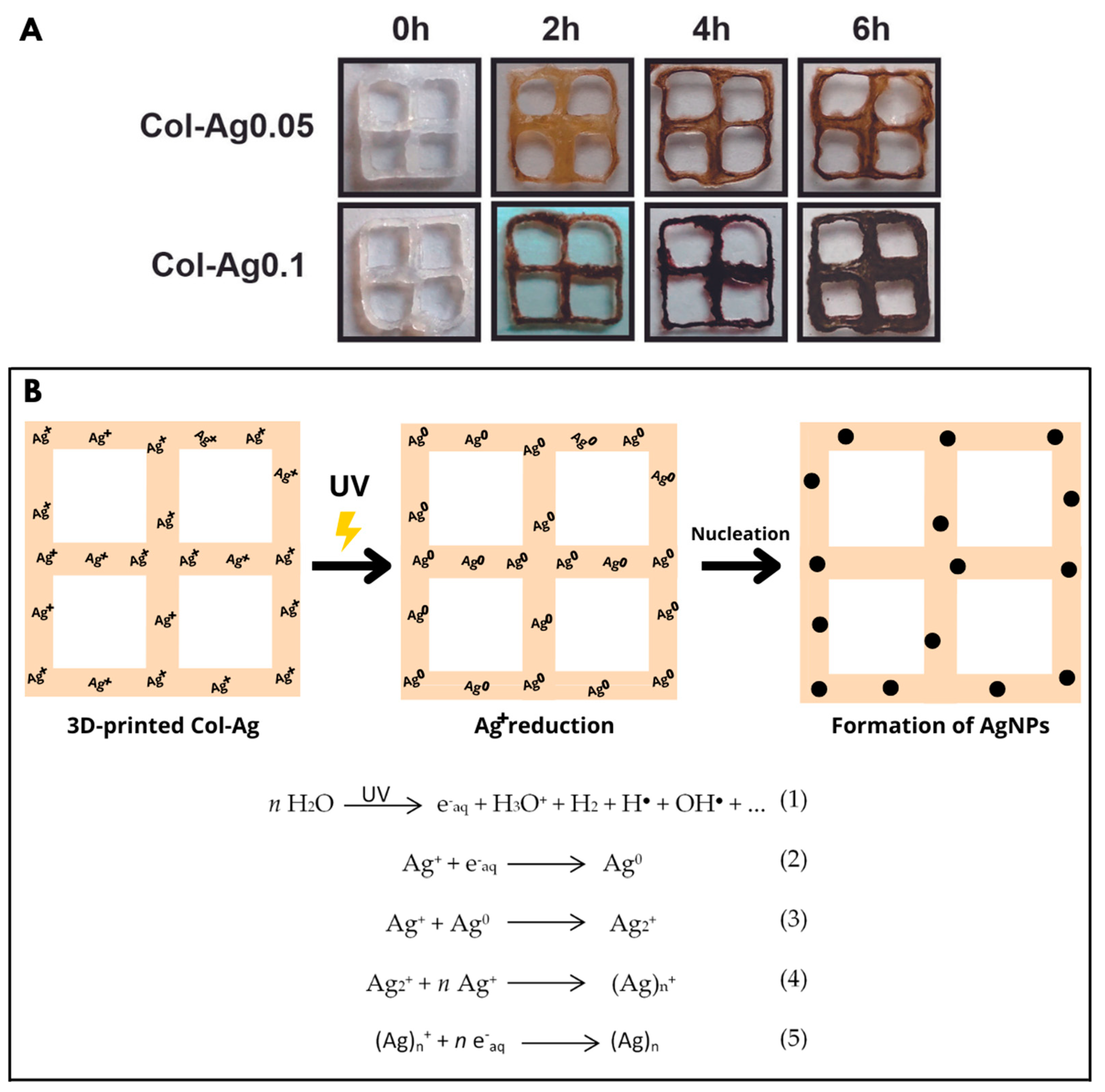 Antibiotics 12 00016 g001
