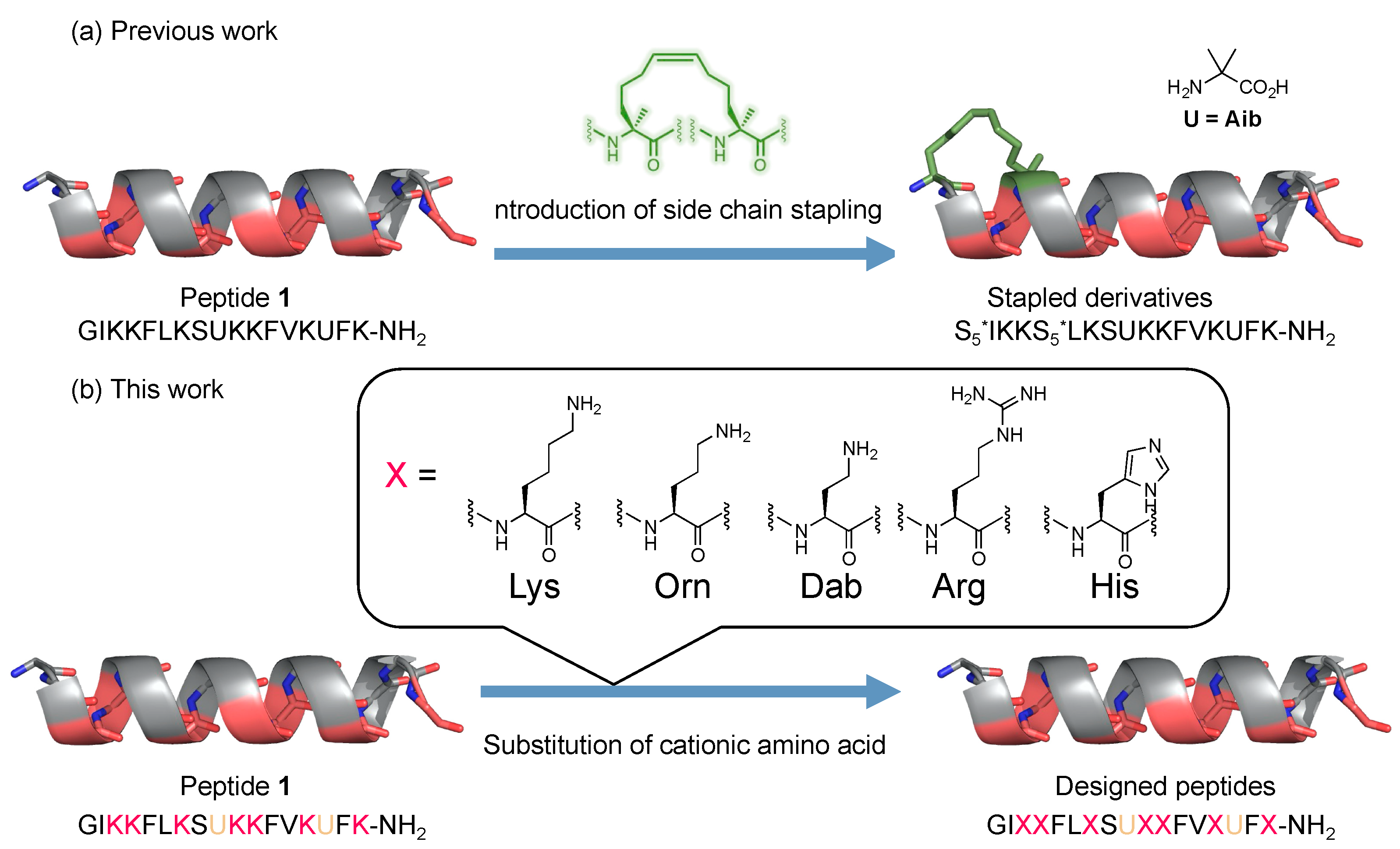 Antibiotics 12 00019 g001