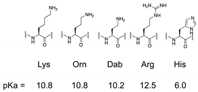 Antibiotics 12 00019 i001