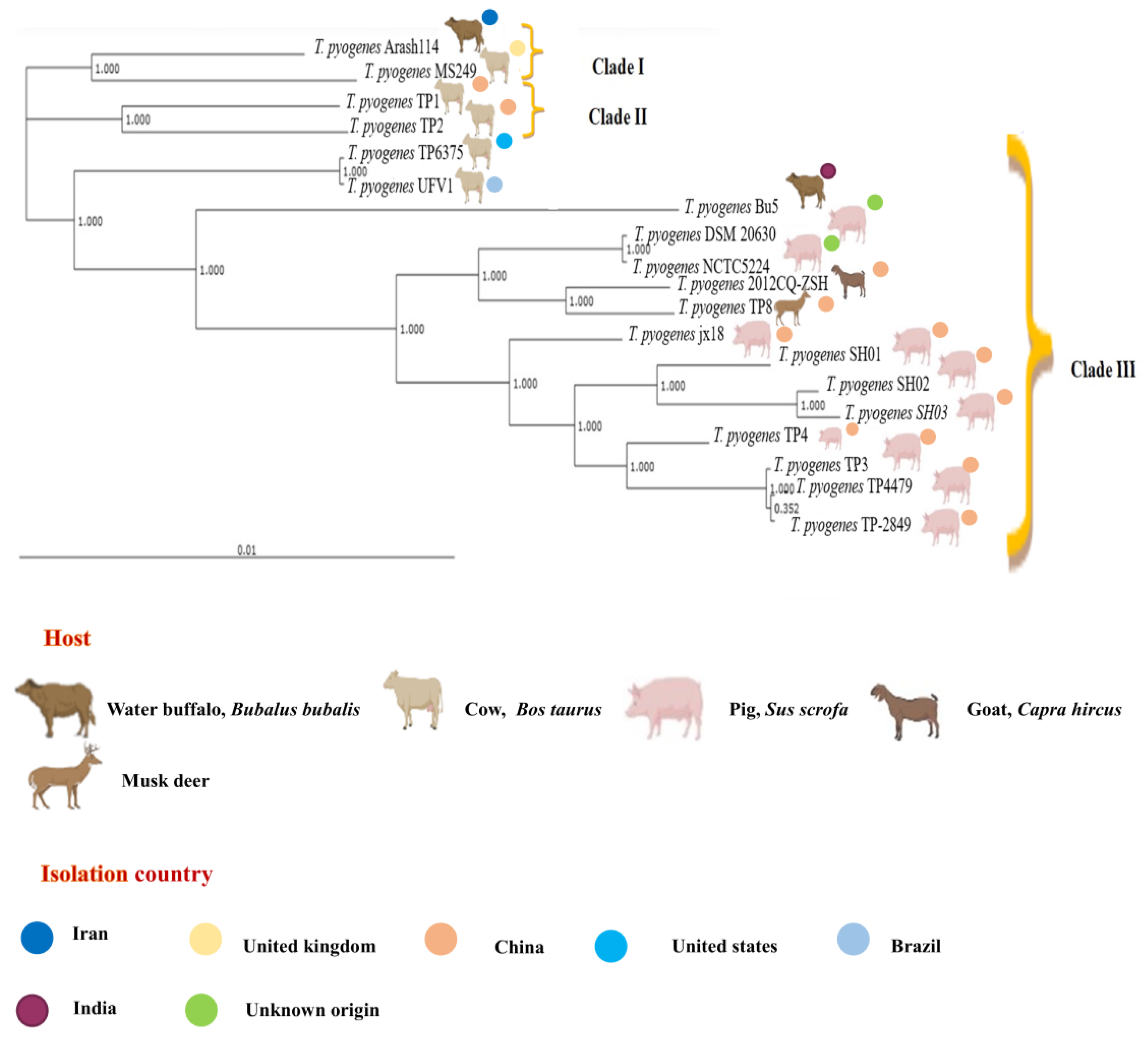 Antibiotics 12 00024 g005 Antibiotics 12 00024 g005