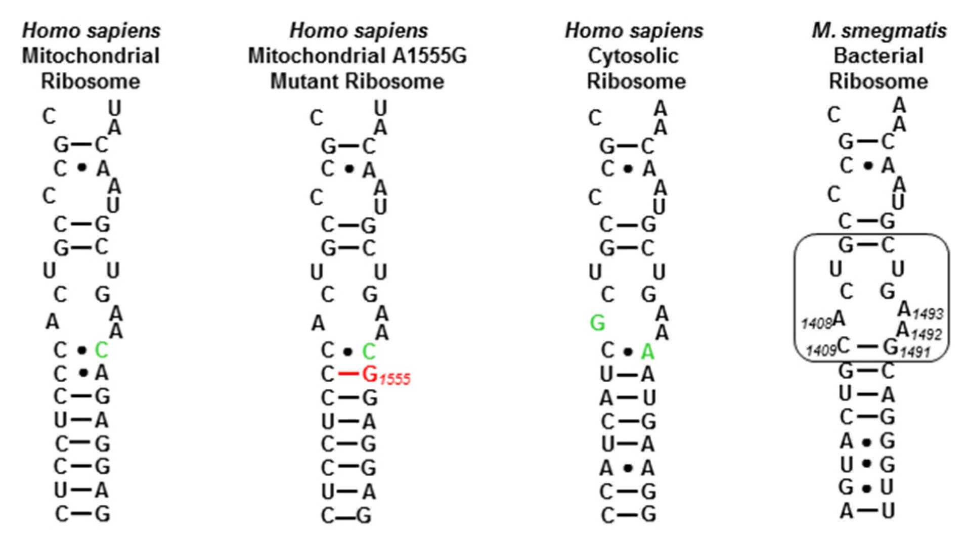 Antibiotics 12 00025 g002 Antibiotics 12 00025 g002