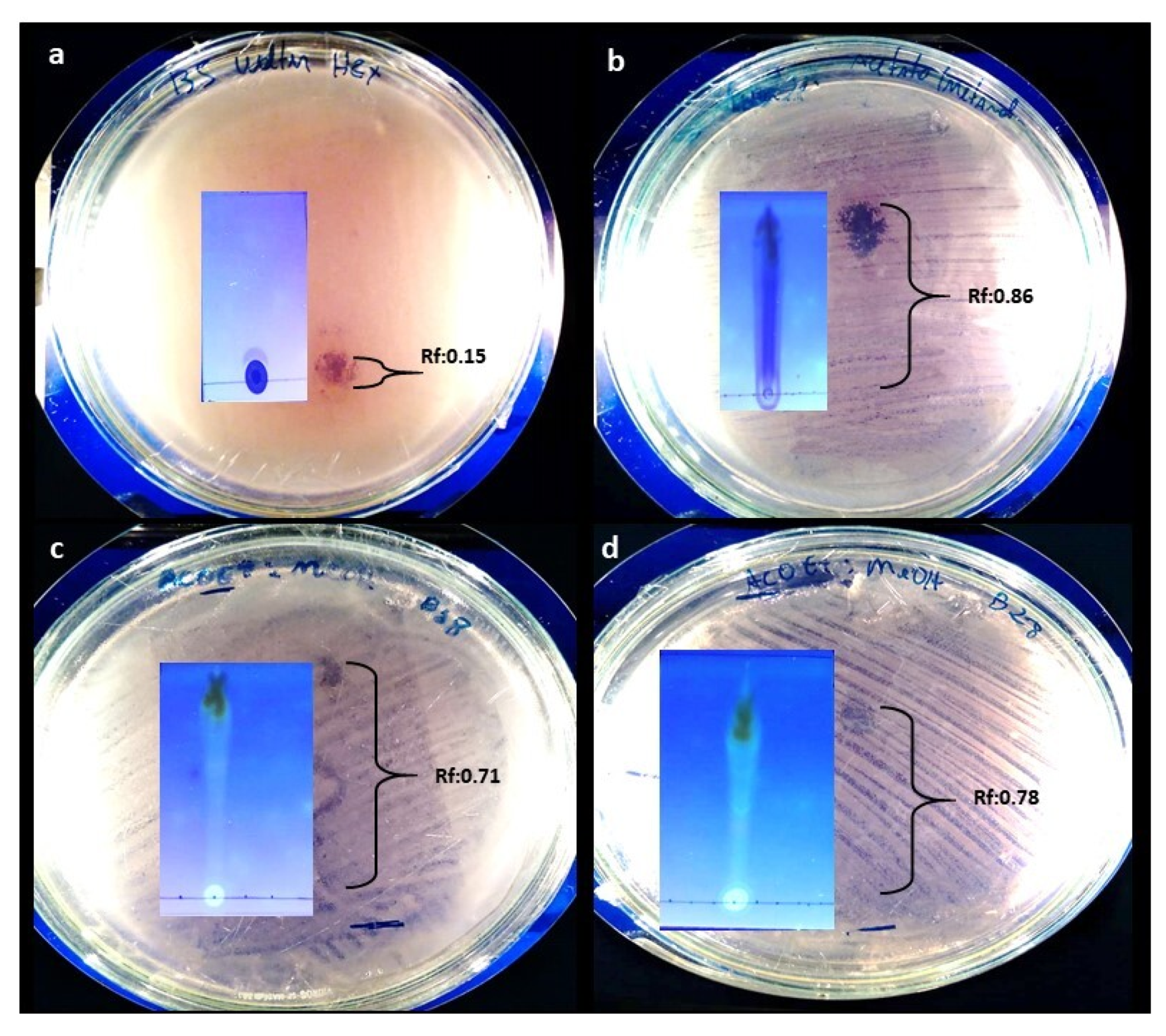 Antibiotics 12 00027 g0a2 Antibiotics 12 00027 g0a2