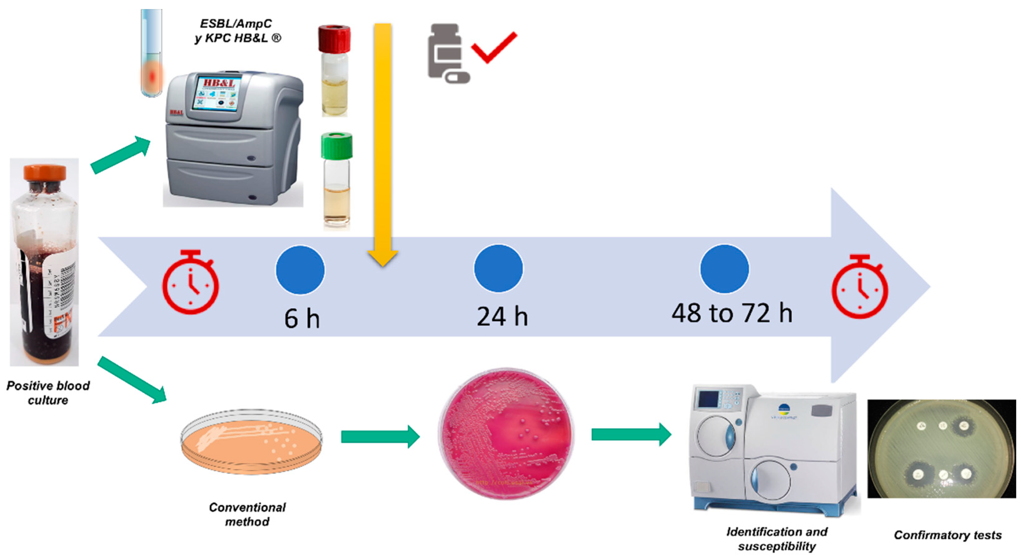 Antibiotics 12 00034 g003 Antibiotics 12 00034 g003