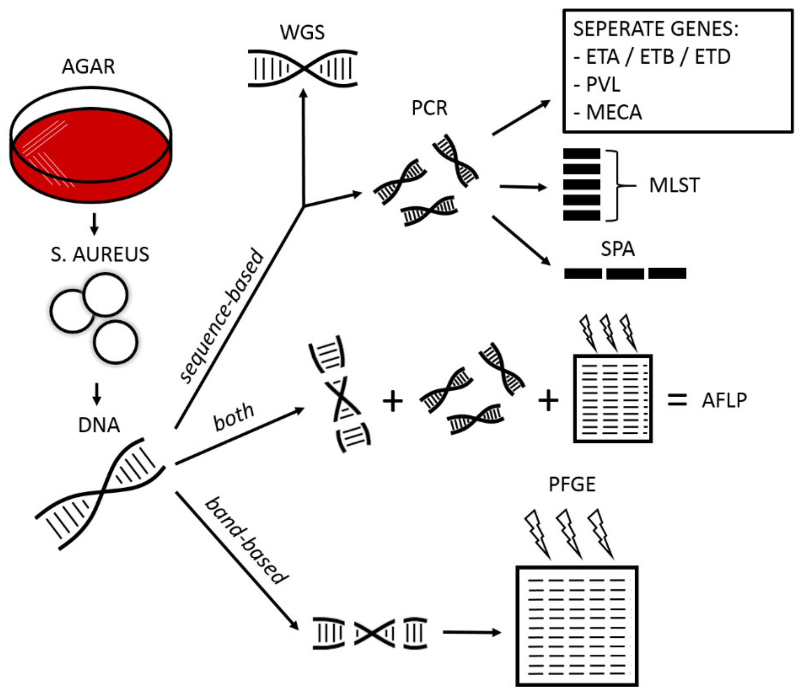 Antibiotics 12 00038 g004