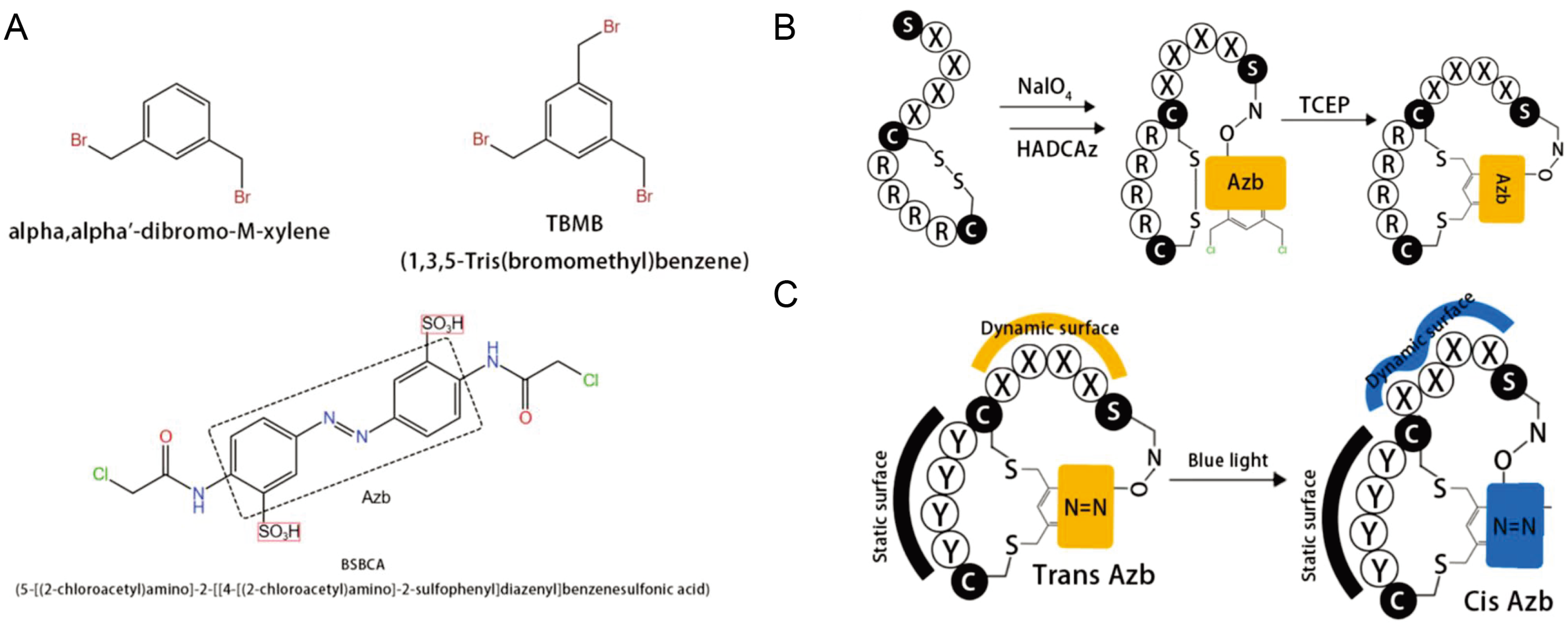 Antibiotics 12 00042 g002