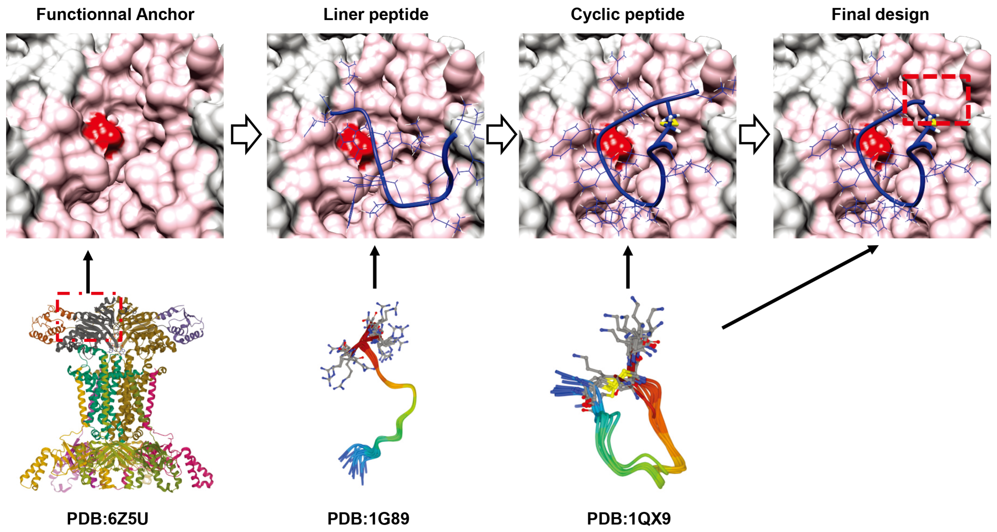 Antibiotics 12 00042 g004