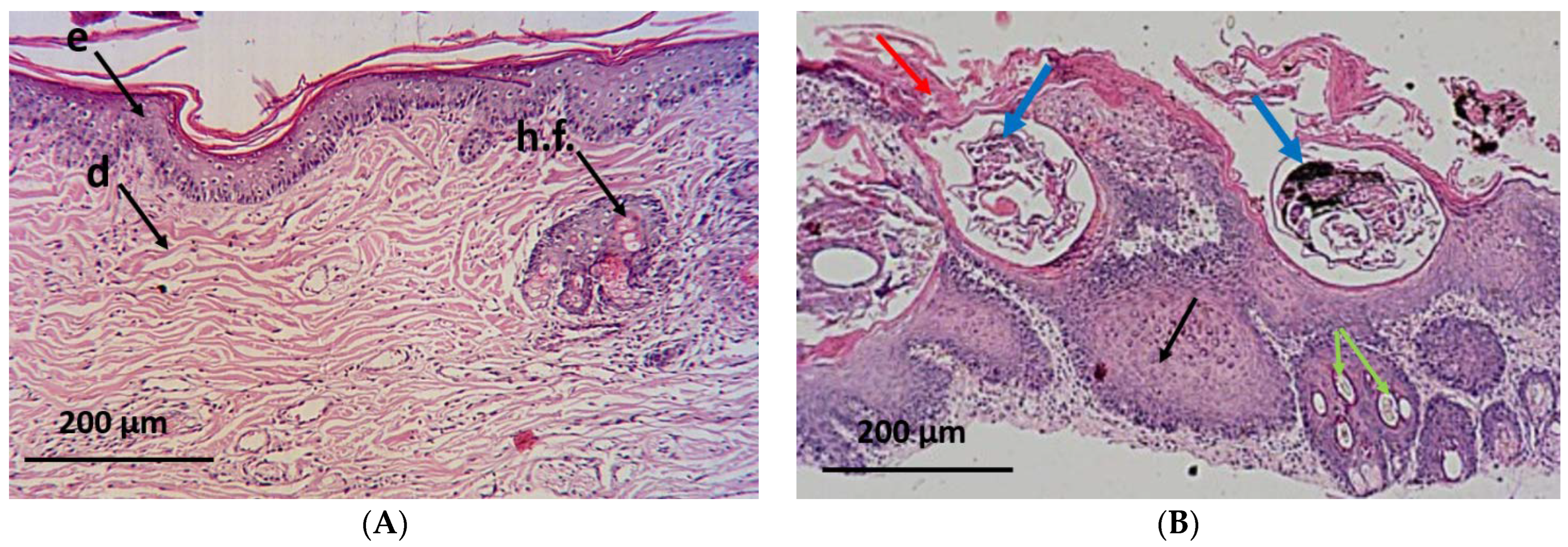 Antibiotics 12 00043 g006a