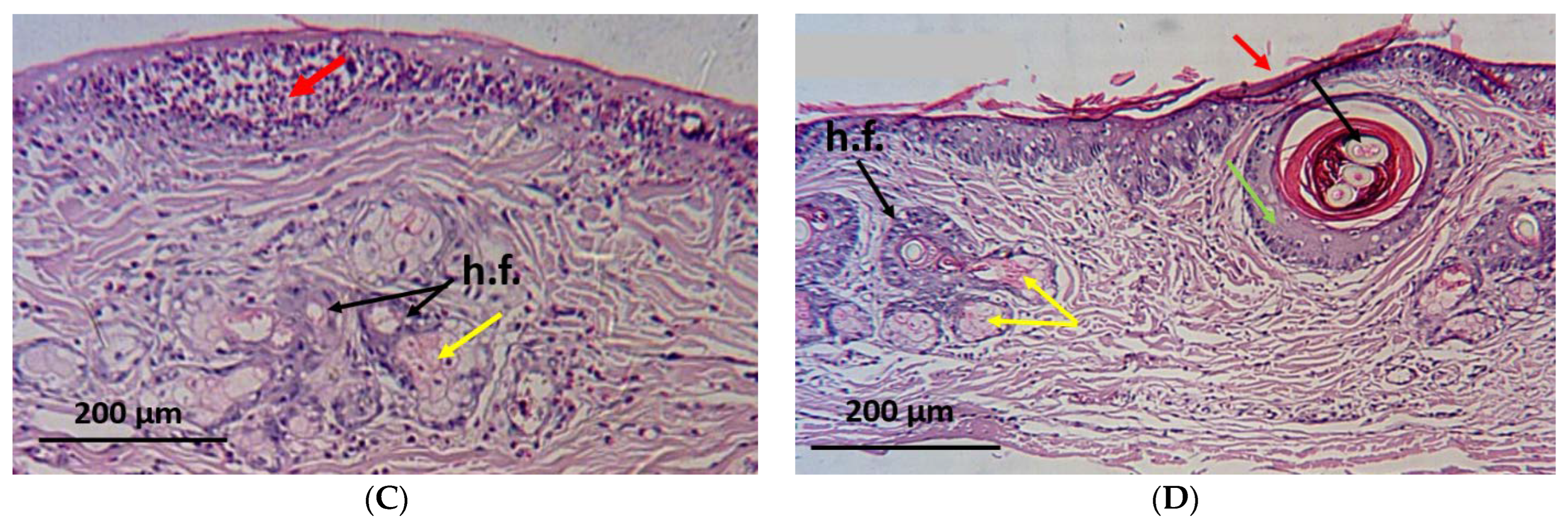 Antibiotics 12 00043 g006b
