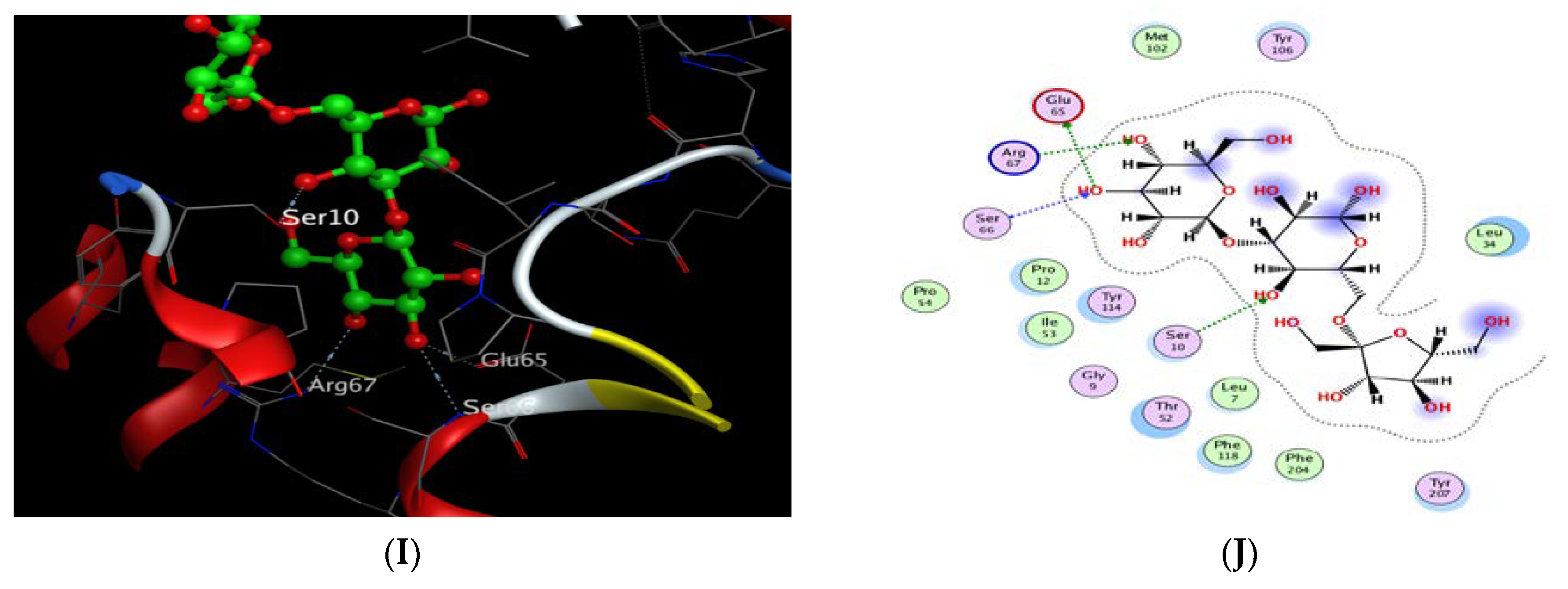 Antibiotics 12 00043 g008b