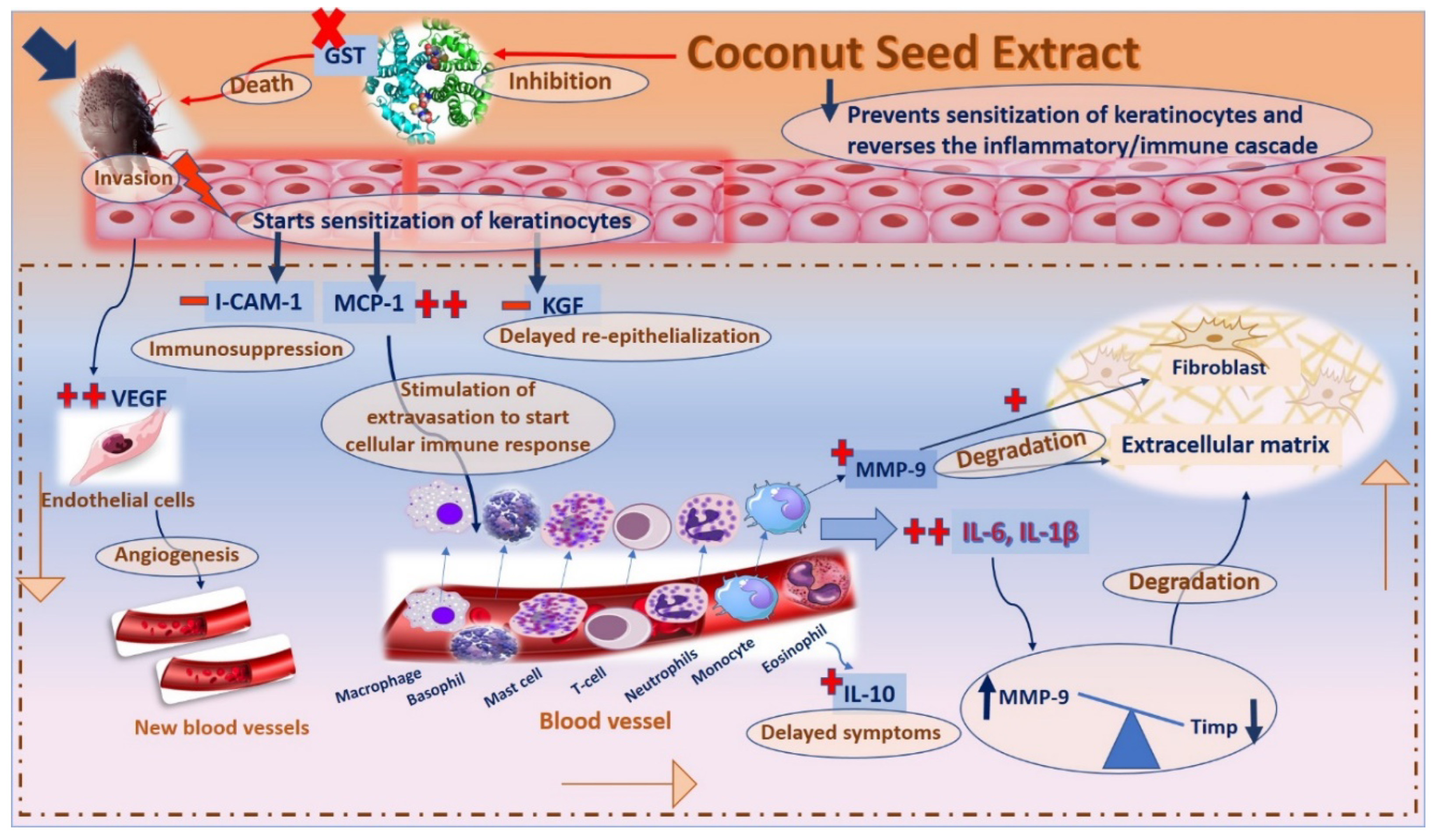 Antibiotics 12 00043 g009