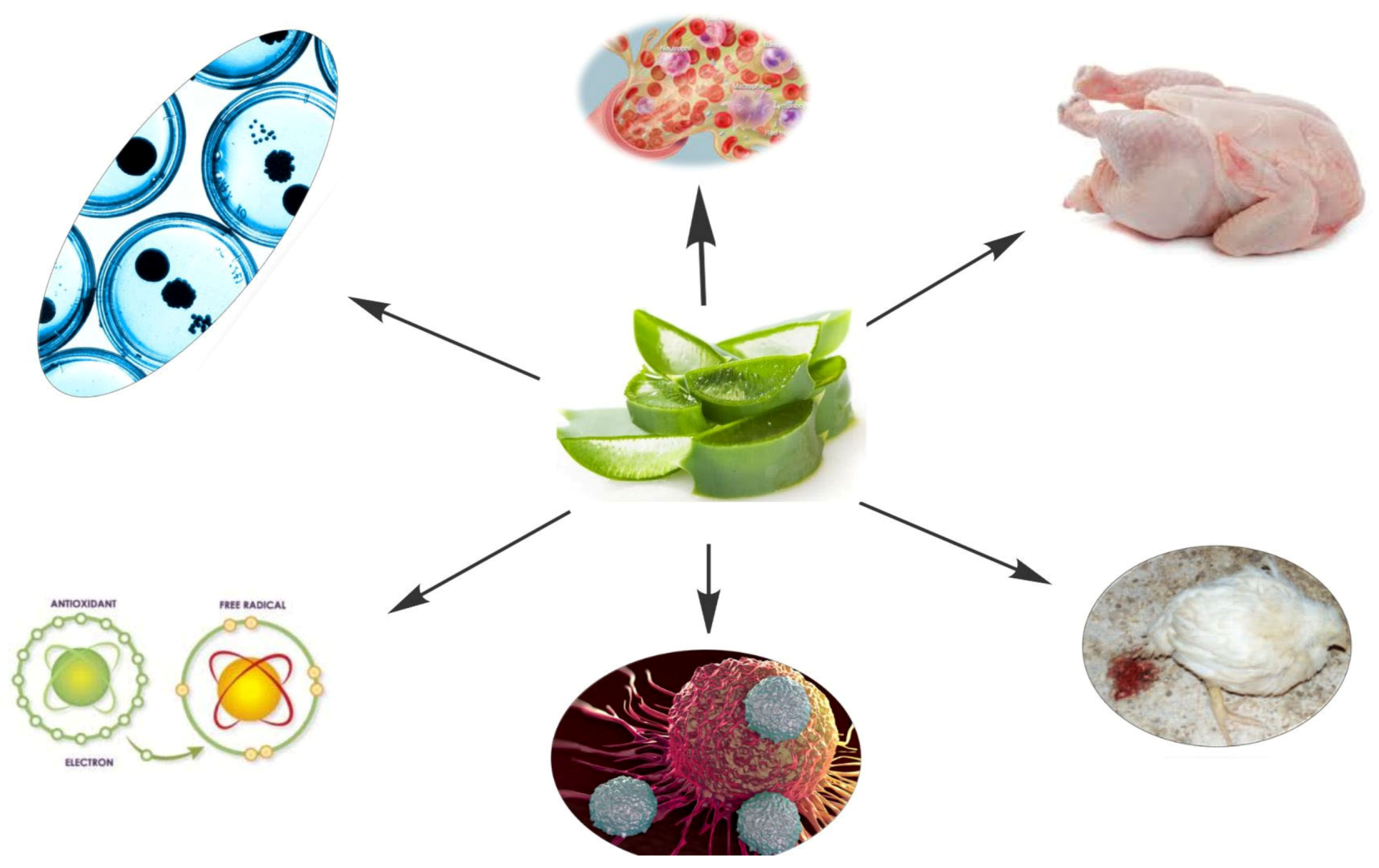 Antibiotics 12 00044 g002 Antibiotics 12 00044 g002