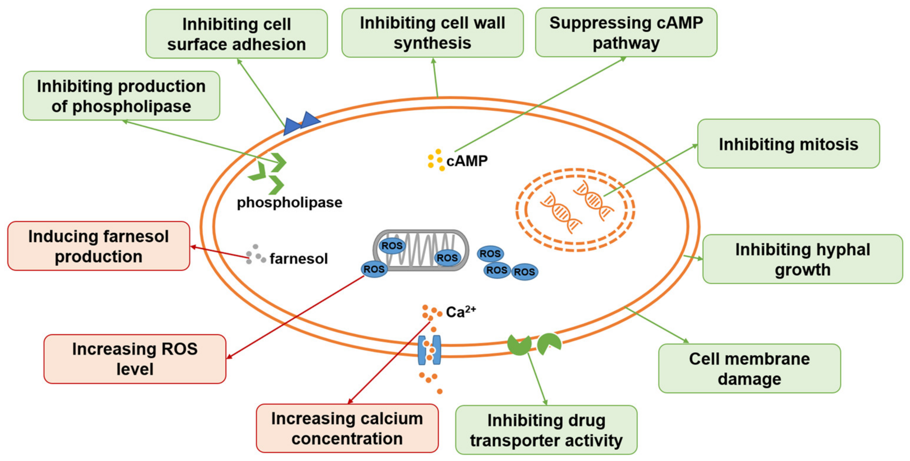 Antibiotics 12 00048 g002 Antibiotics 12 00048 g002