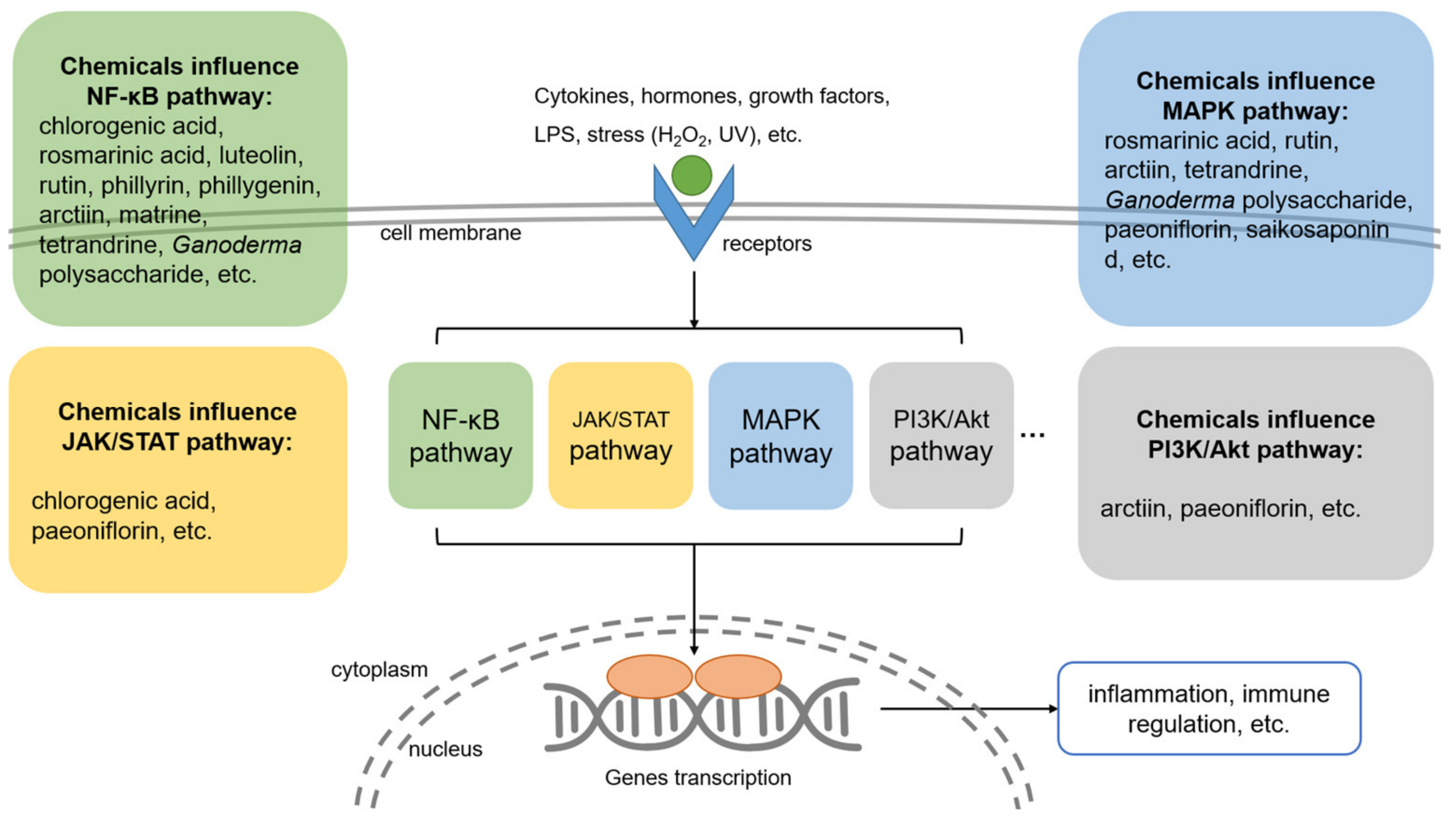 Antibiotics 12 00048 g003 Antibiotics 12 00048 g003