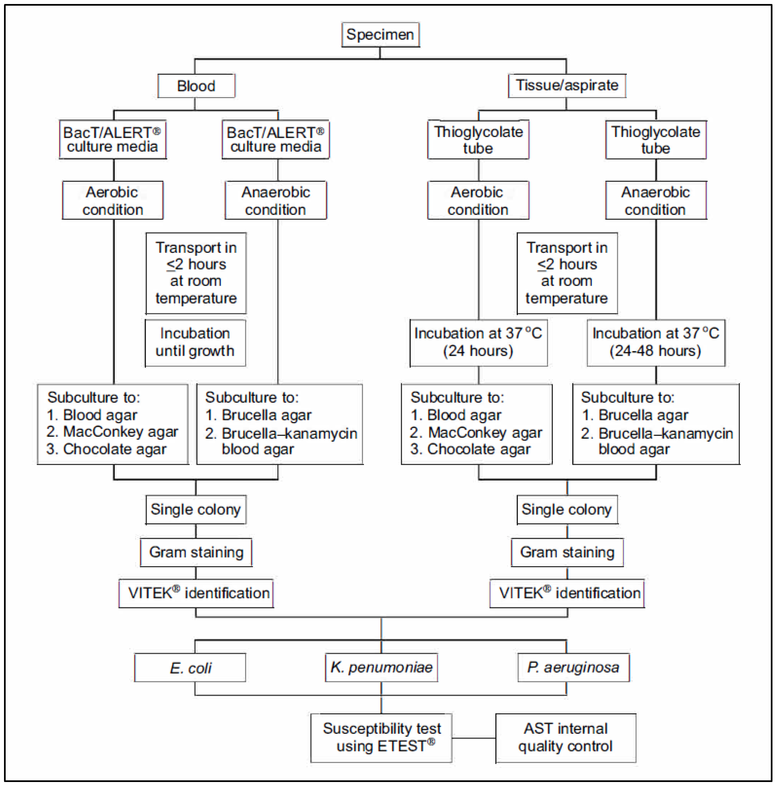Antibiotics 12 00052 g002 Antibiotics 12 00052 g002