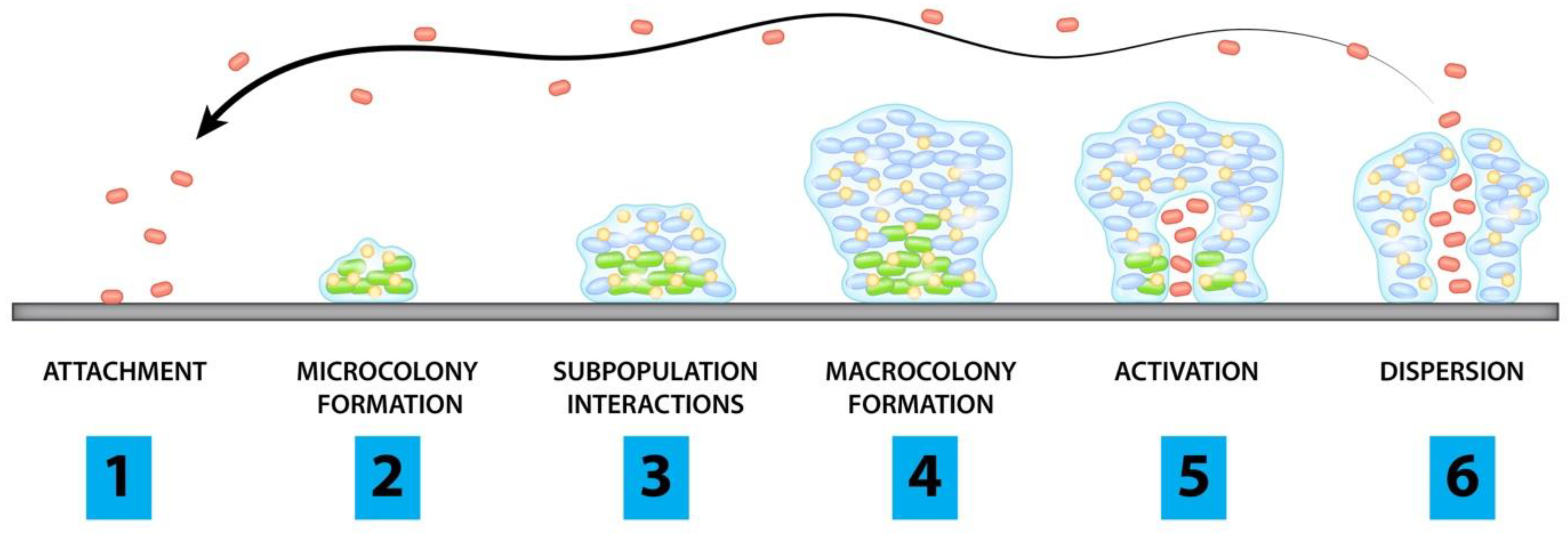 Antibiotics 12 00054 g001 Antibiotics 12 00054 g001