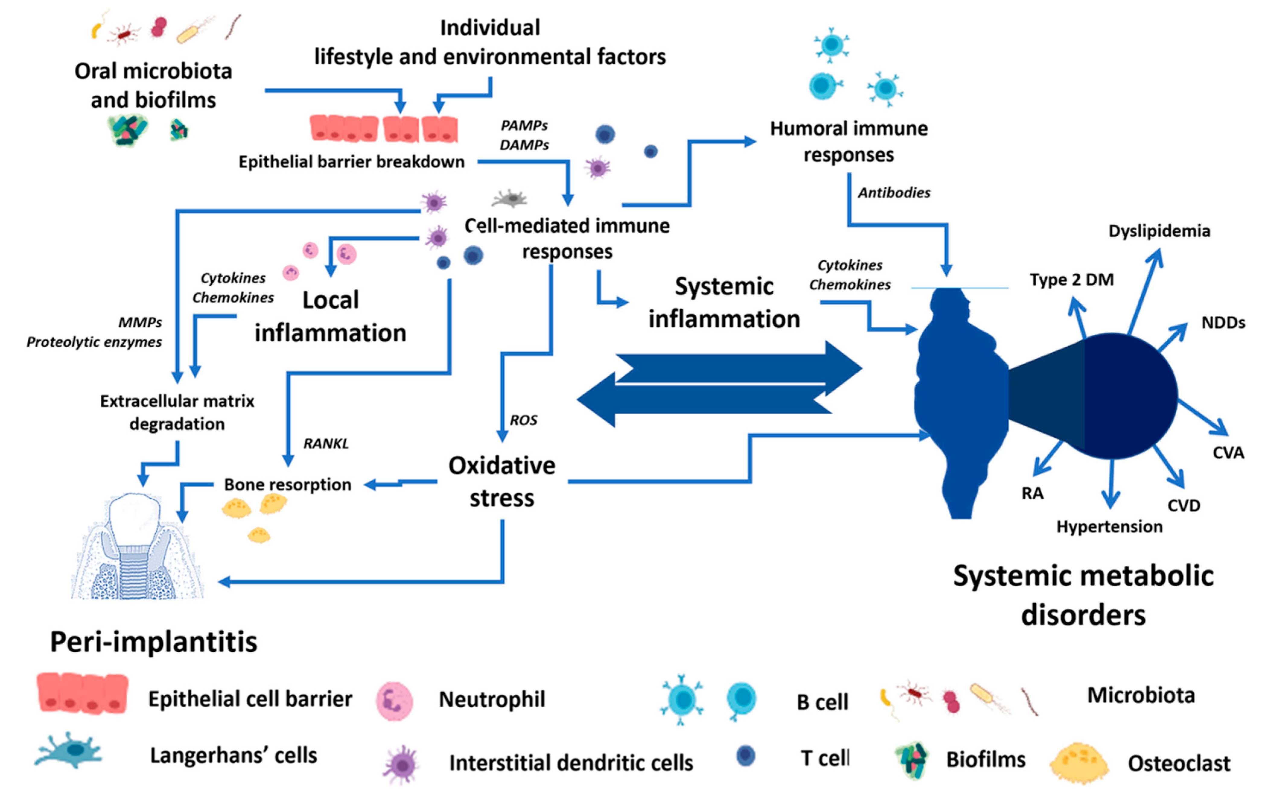 Antibiotics 12 00065 g001