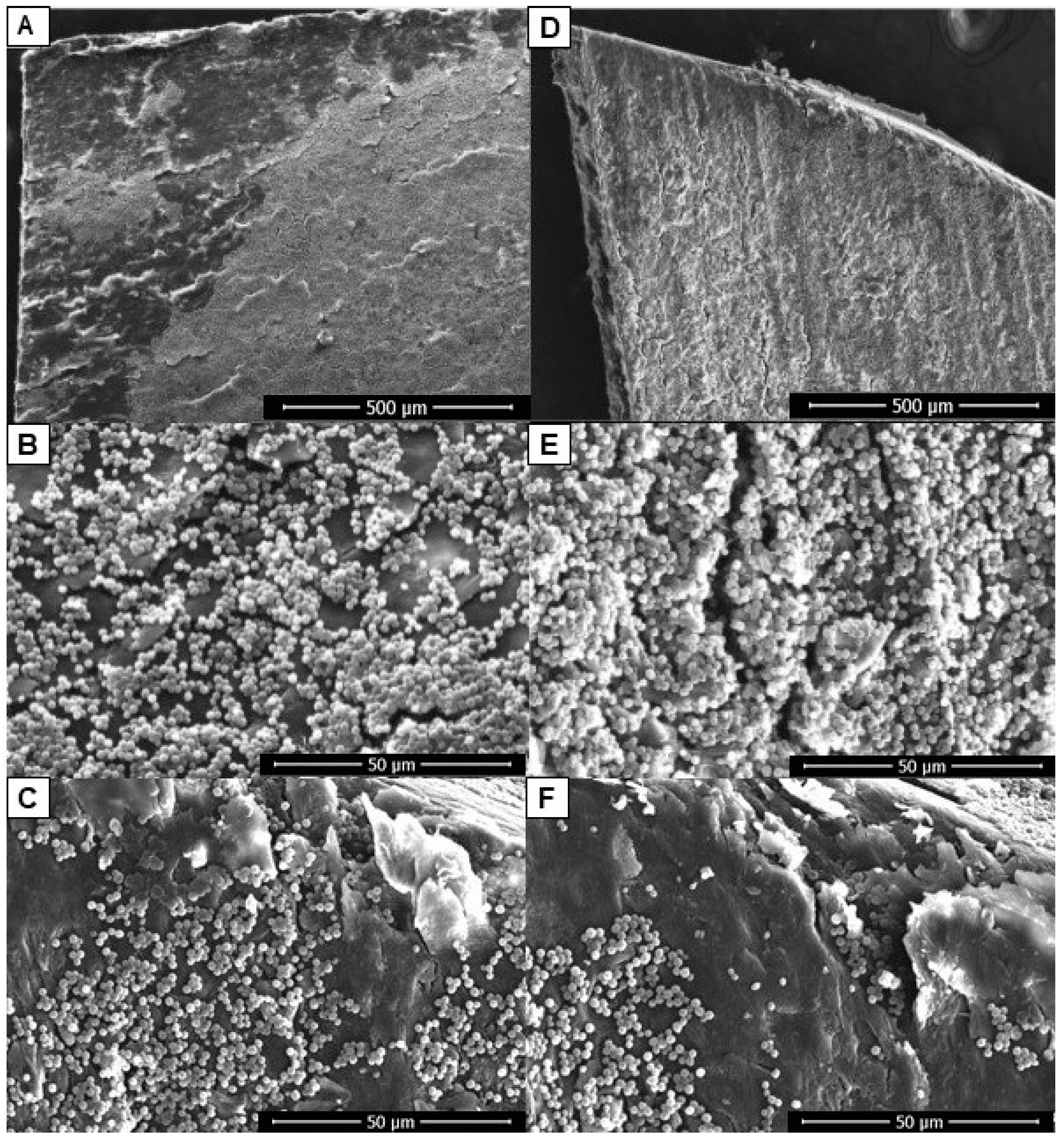 Antibiotics 12 00072 g002 Antibiotics 12 00072 g002