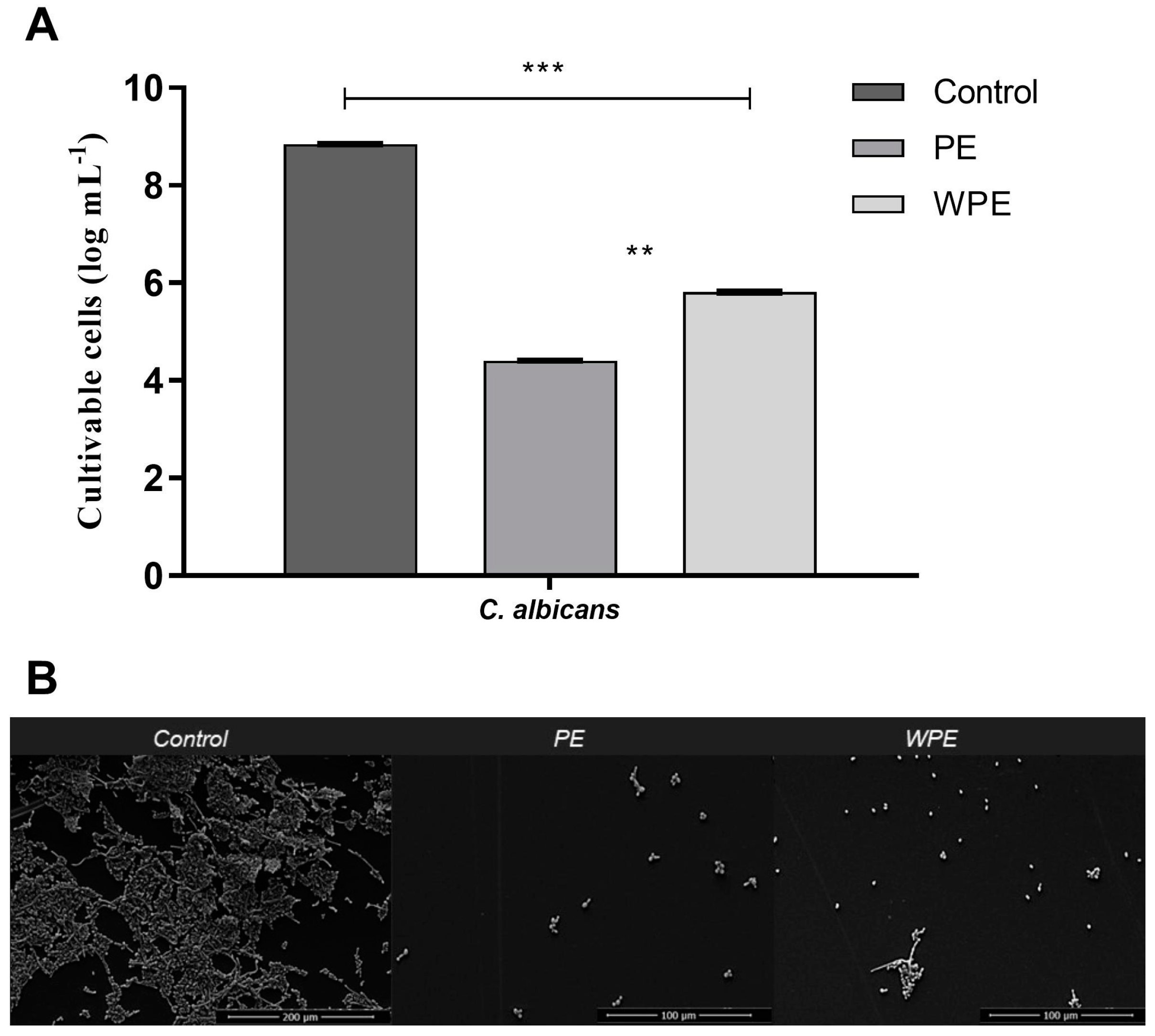 Antibiotics 12 00072 g004 Antibiotics 12 00072 g004