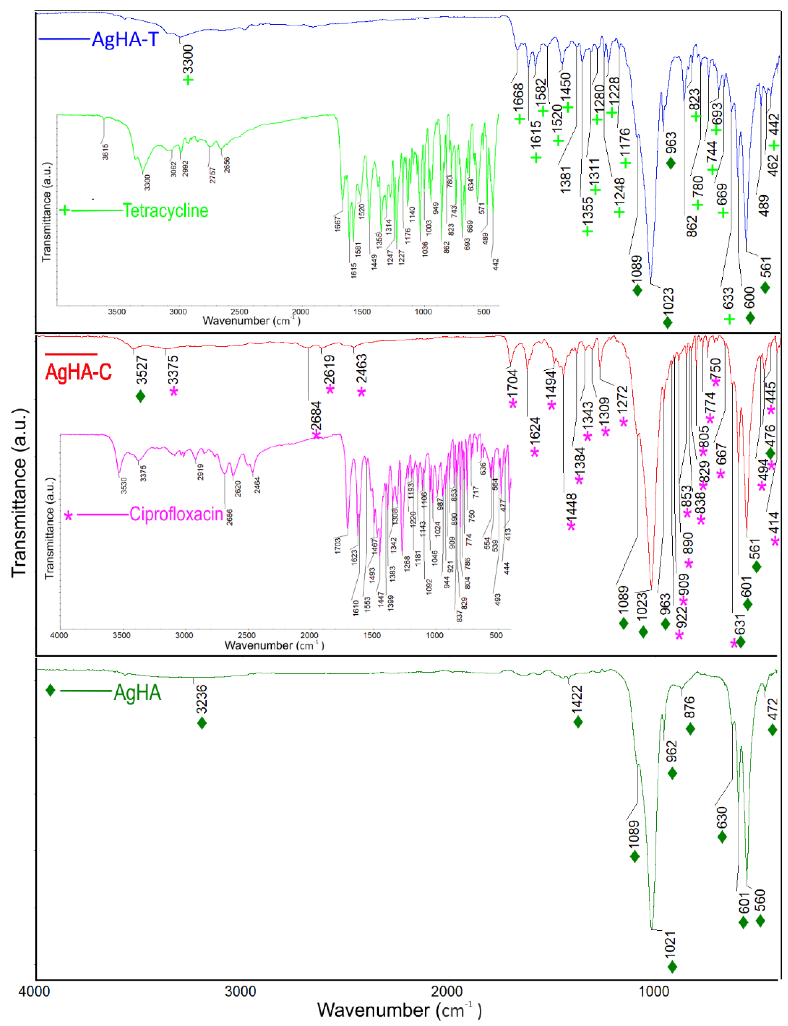 Antibiotics 12 00074 g003