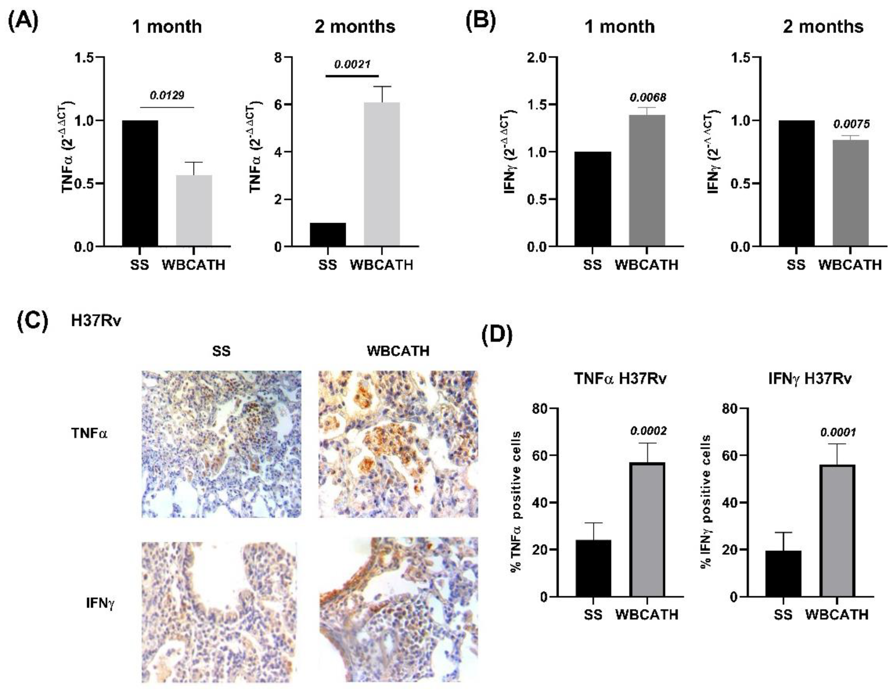 Antibiotics 12 00075 g006 Antibiotics 12 00075 g006